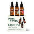 Plant Therapy Facial Serum Trio Set – Rose Bakuchiol, Tea Tree Niacinamide, Vitamin C Hyaluronic Acid