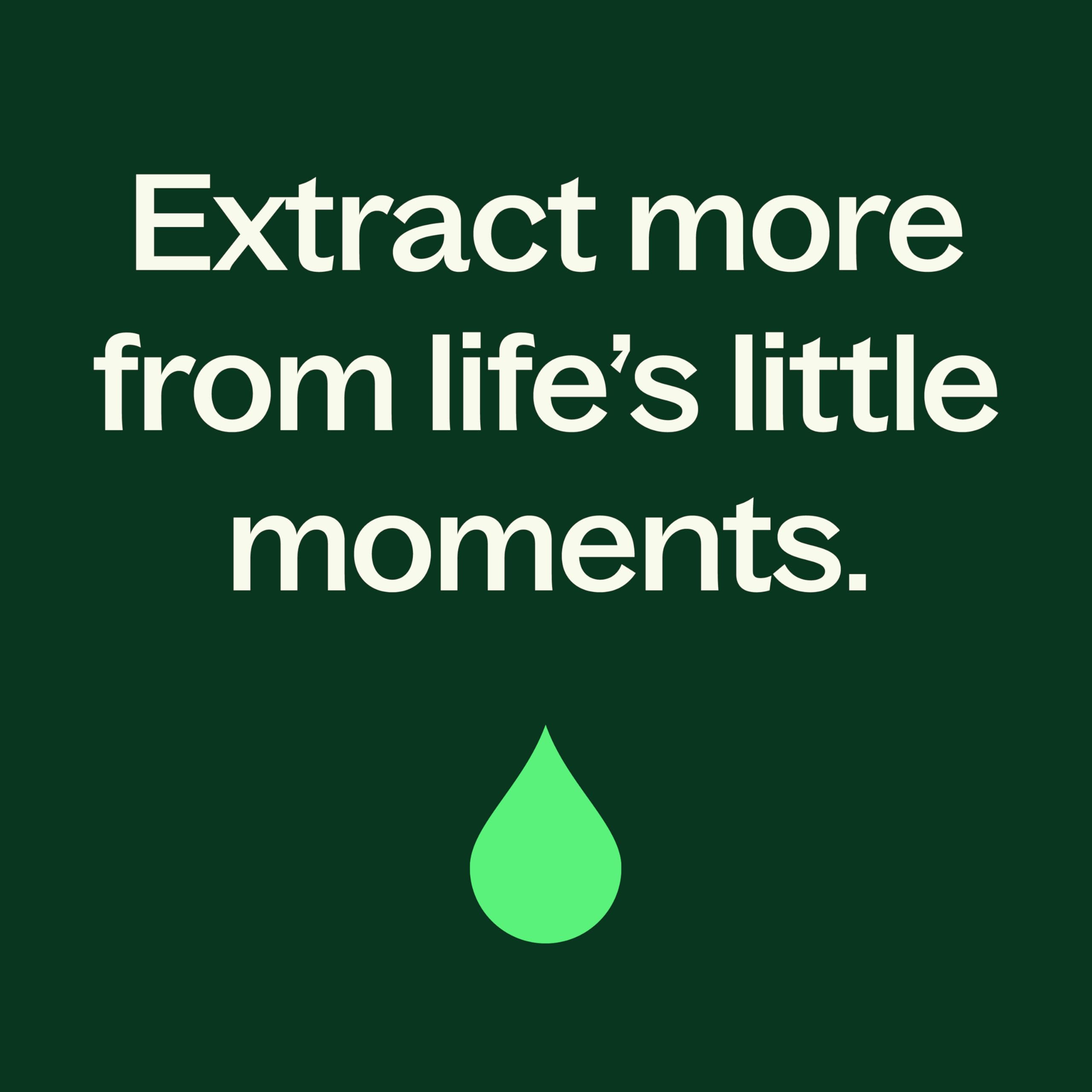 Plant Therapy Tea Tree Body Lotion with Aloe & Shea – Hydrate and Nourish Skin (8 oz)