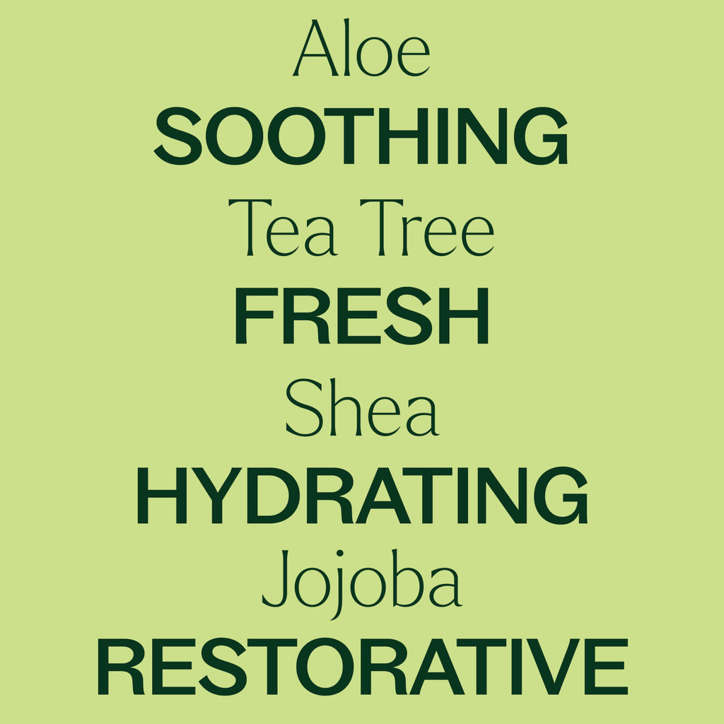 Plant Therapy Tea Tree Body Lotion with Aloe & Shea – Hydrate and Nourish Skin (8 oz)