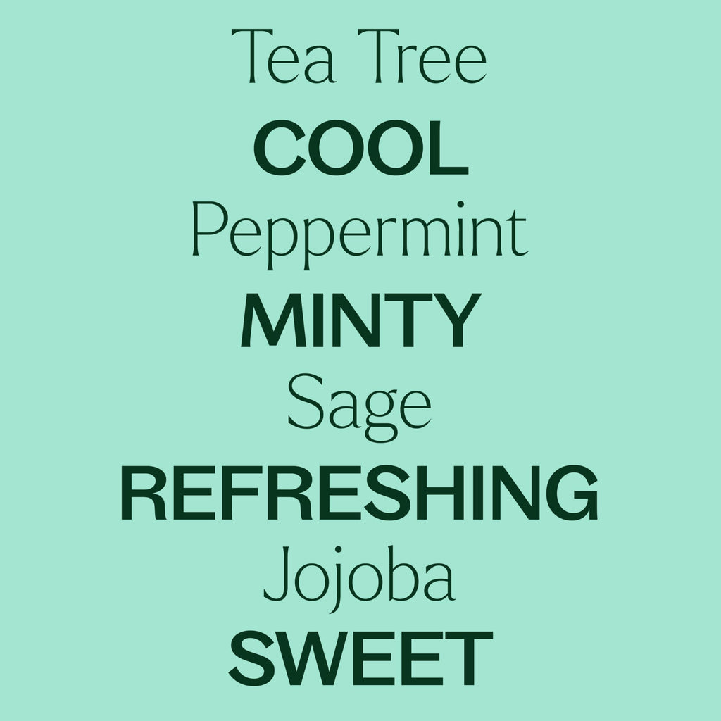 Plant Therapy Tea Tree & Peppermint Body Wash 16 oz | Sulfate-Free, All Skin Types