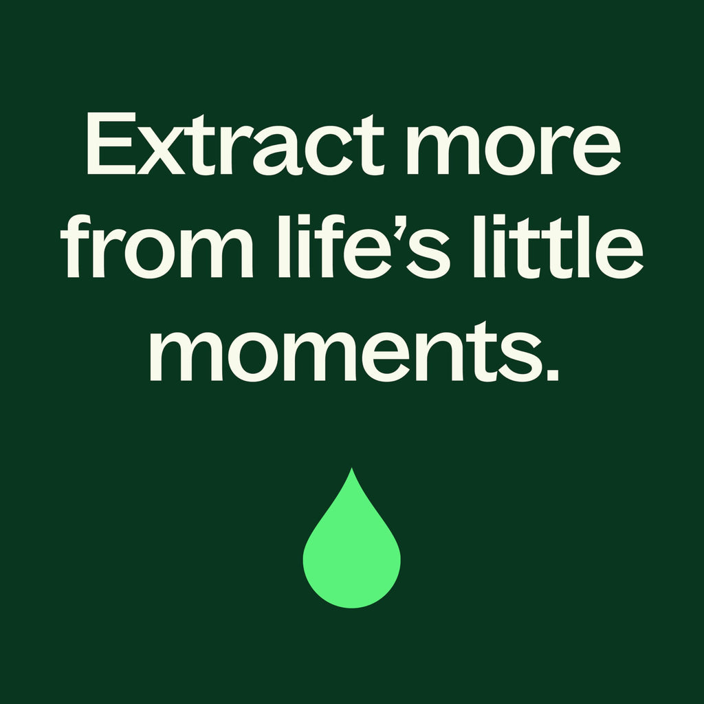 Plant Therapy Tea Tree & Peppermint Body Wash 16 oz | Sulfate-Free, All Skin Types