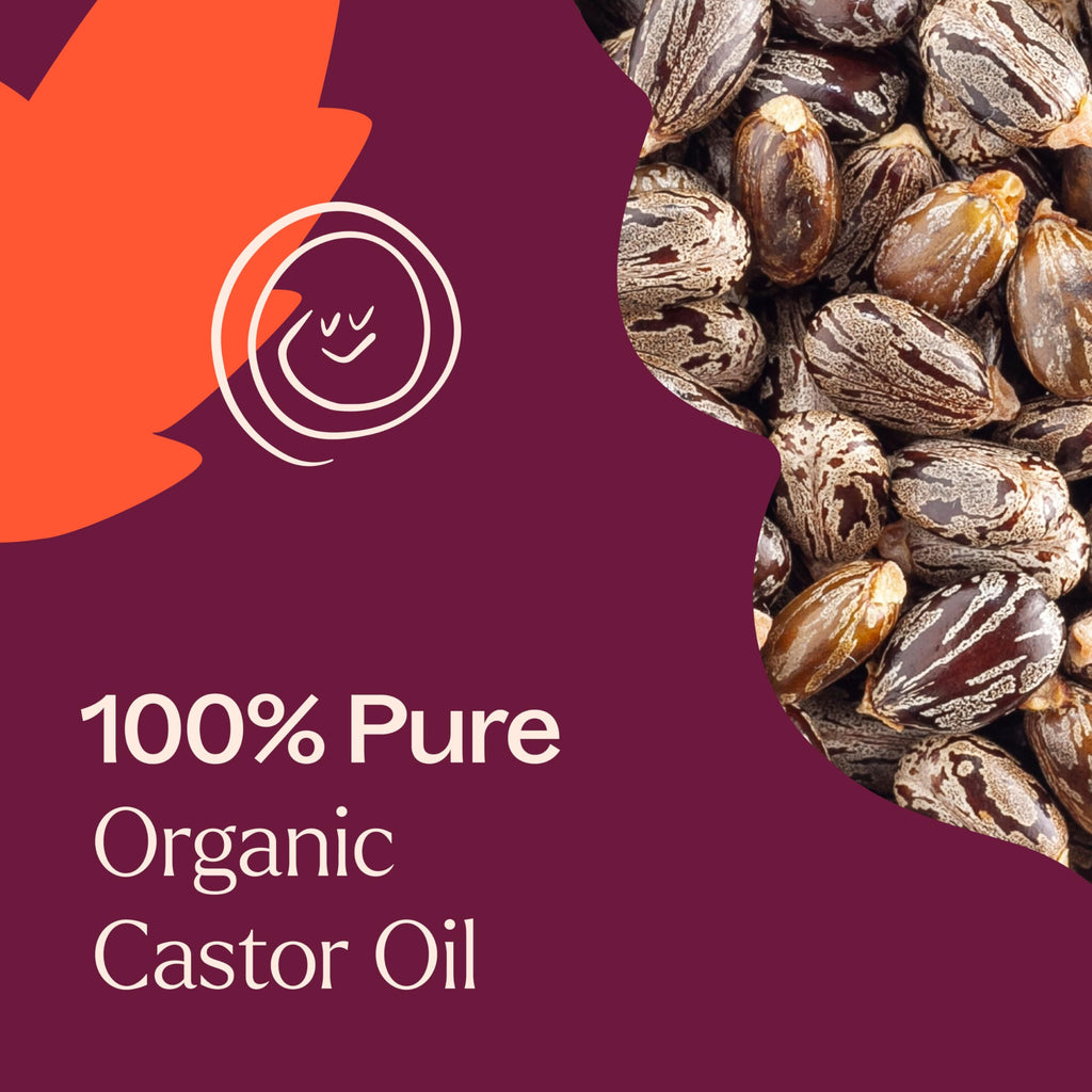 Plant Therapy Organic Castor Oil Roll-On 30 mL | Cold-Pressed, Hexane-Free, Third-Party Tested
