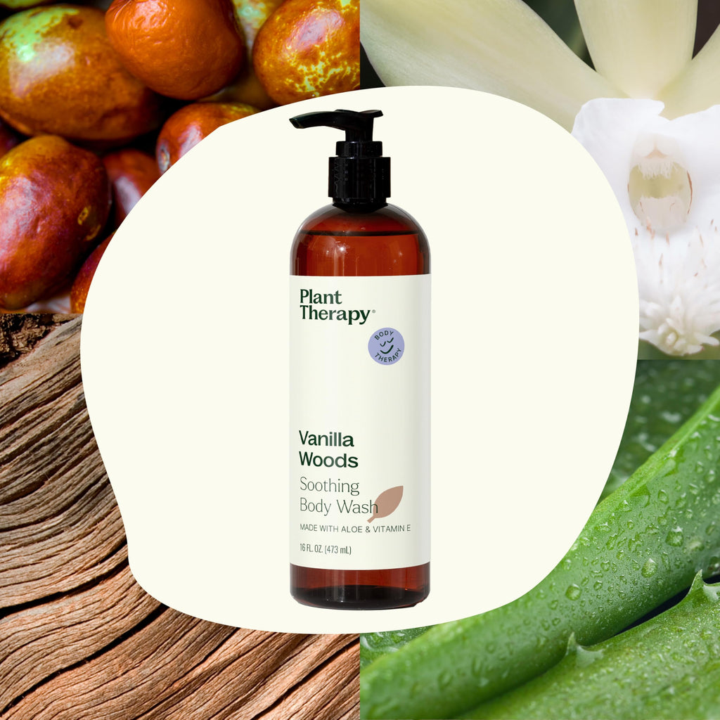 Plant Therapy Vanilla Woods Natural Body Wash 16 oz – Sulfate-Free Hydrating Cleanser for All Skin Types