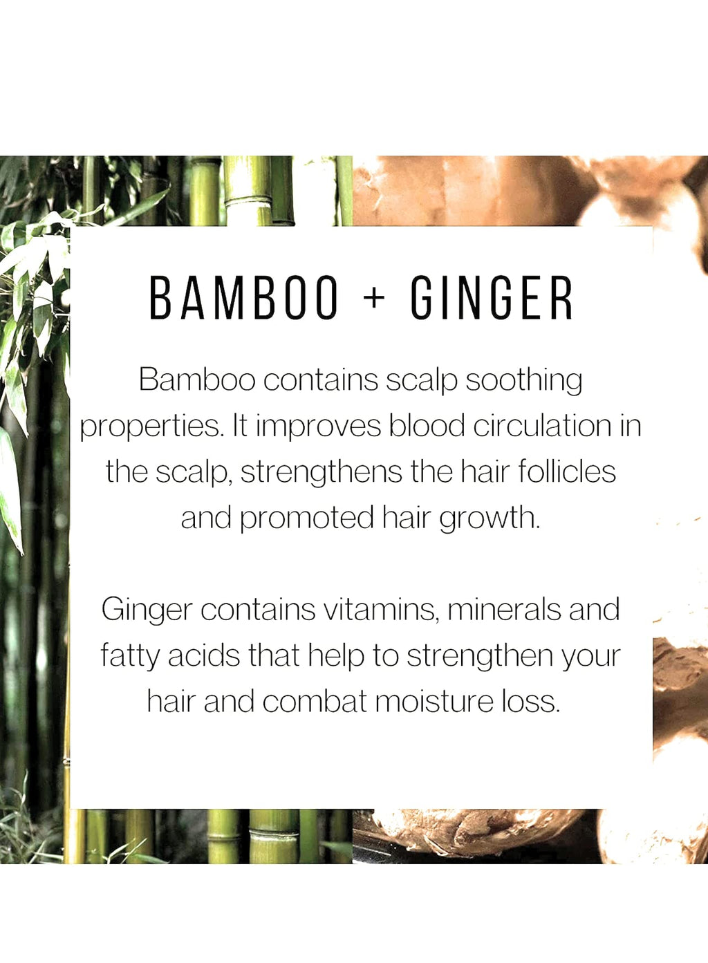 Plantanicals Hair Strengthening Conditioner with Bamboo & Ginger | Revitalizing 15.2 fl oz