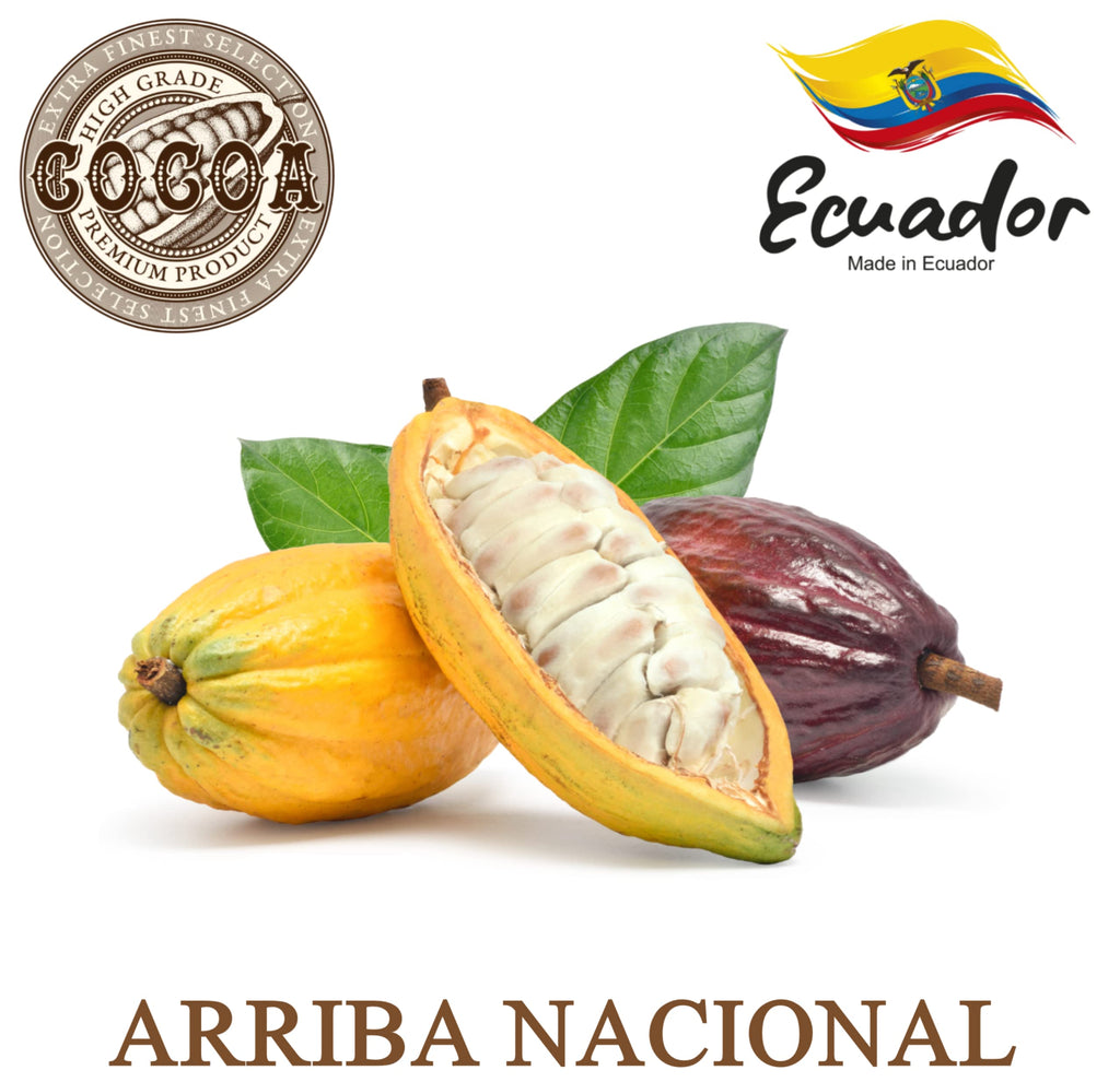 Plant Guru Raw Cocoa Butter 16 oz – 100% Pure Unrefined Arriba Nacional Cocoa, Bulk for Lip Balms & DIY Body Butters