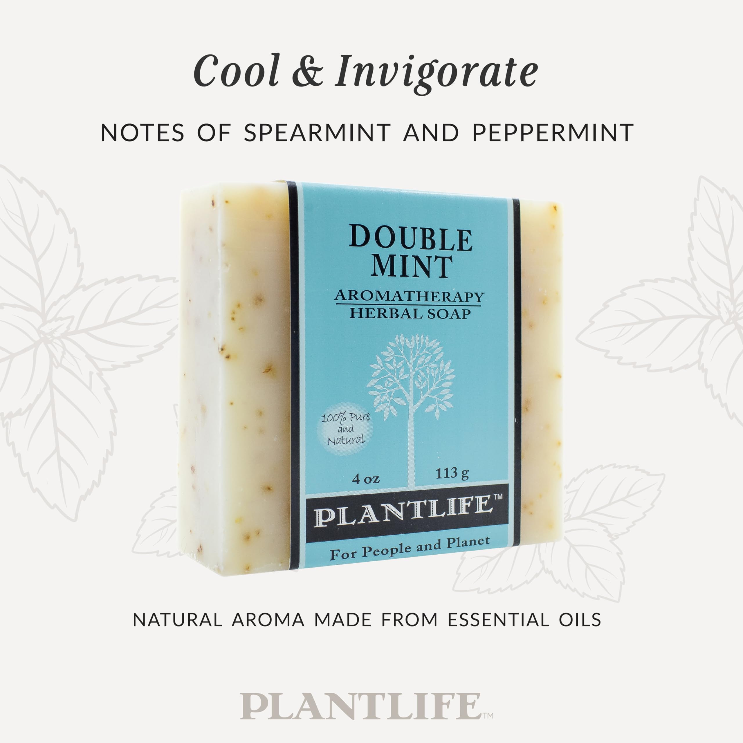 Plantlife Double Mint 6-Pack Bar Soap — Moisturizing, Handcrafted Plant-Based Soap Made in California