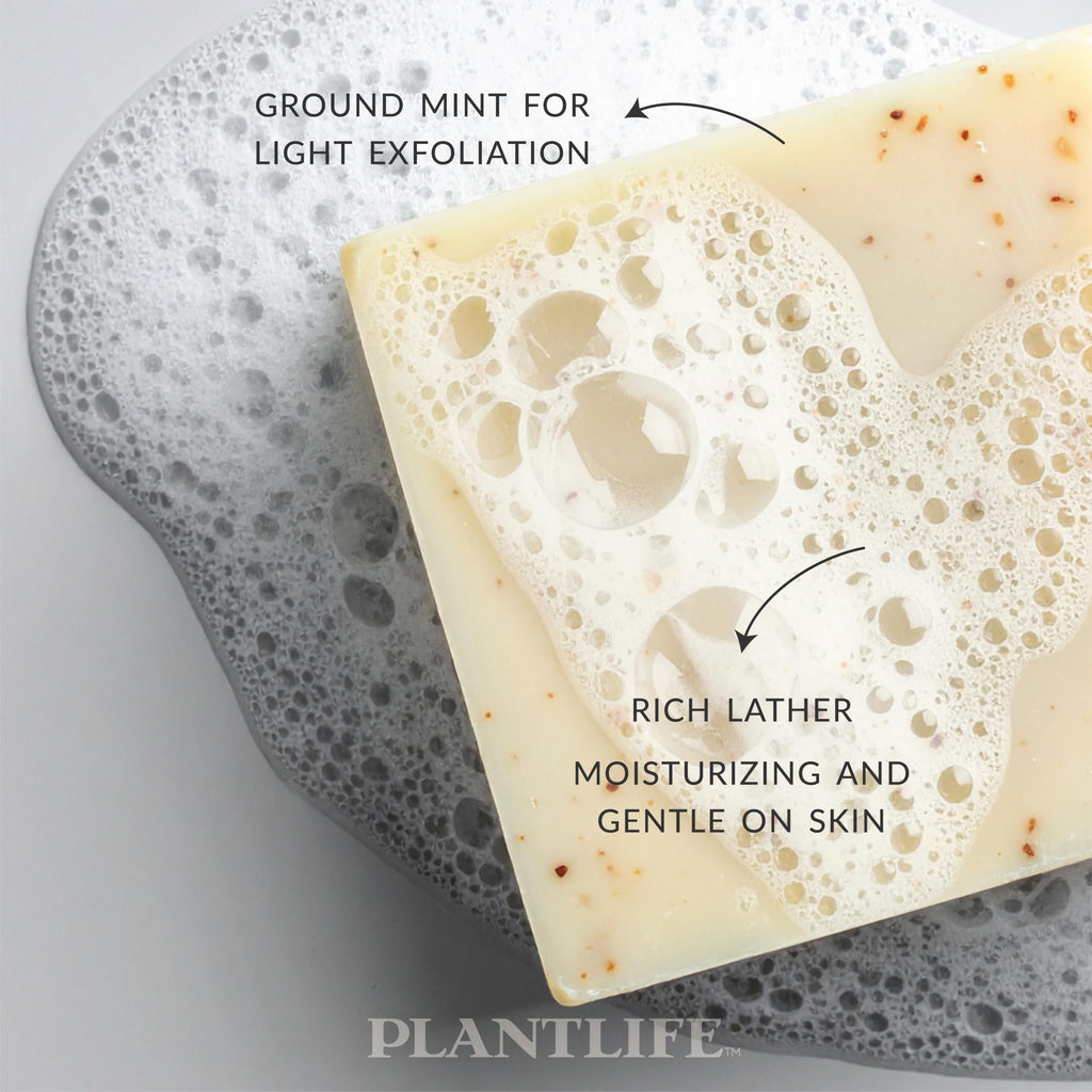 Plantlife Double Mint 6-Pack Bar Soap — Moisturizing, Handcrafted Plant-Based Soap Made in California