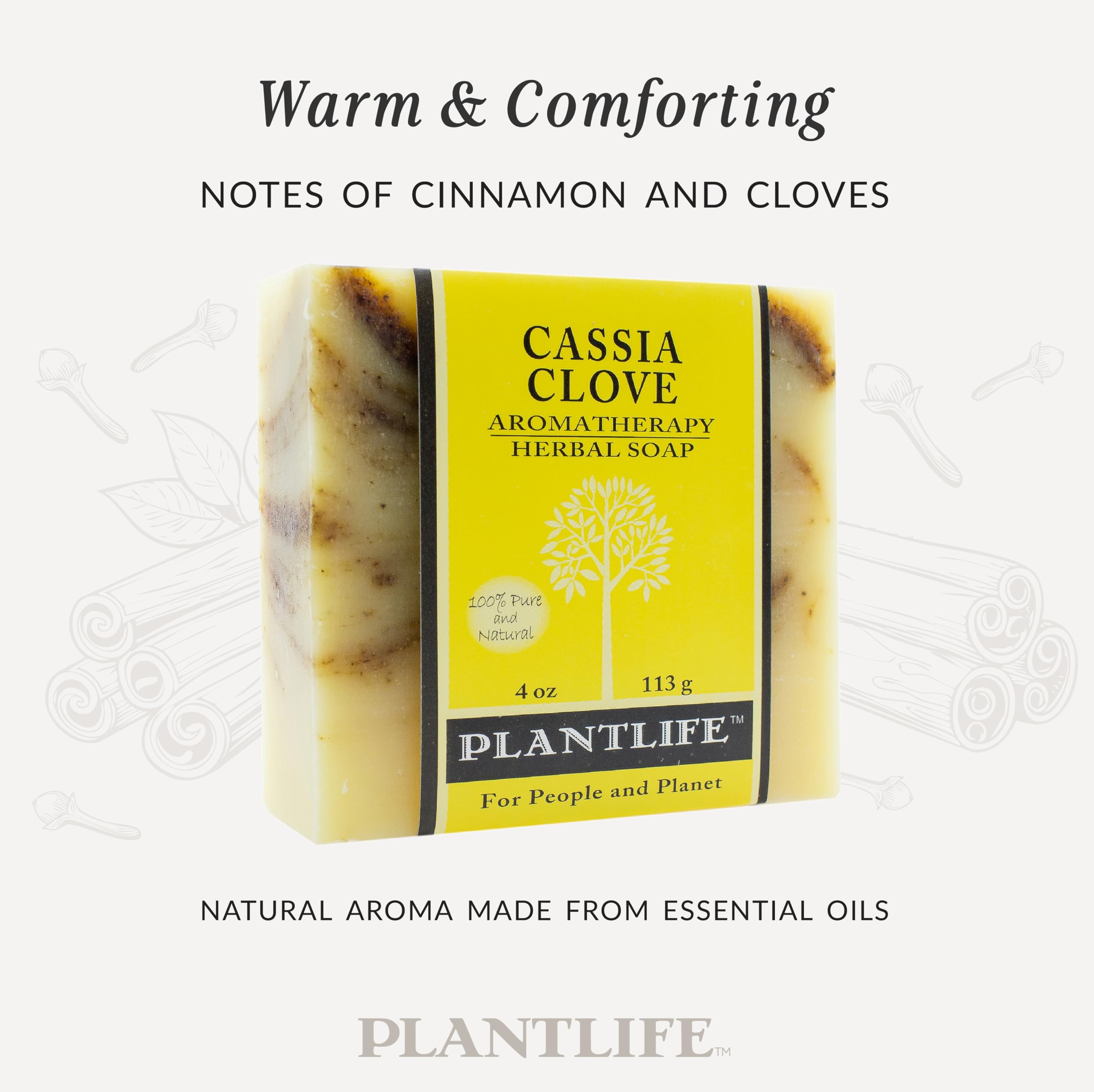 Plantlife Cassia Clove 3-Pack Bar Soap | Moisturizing, Hand-Crafted Castile in California