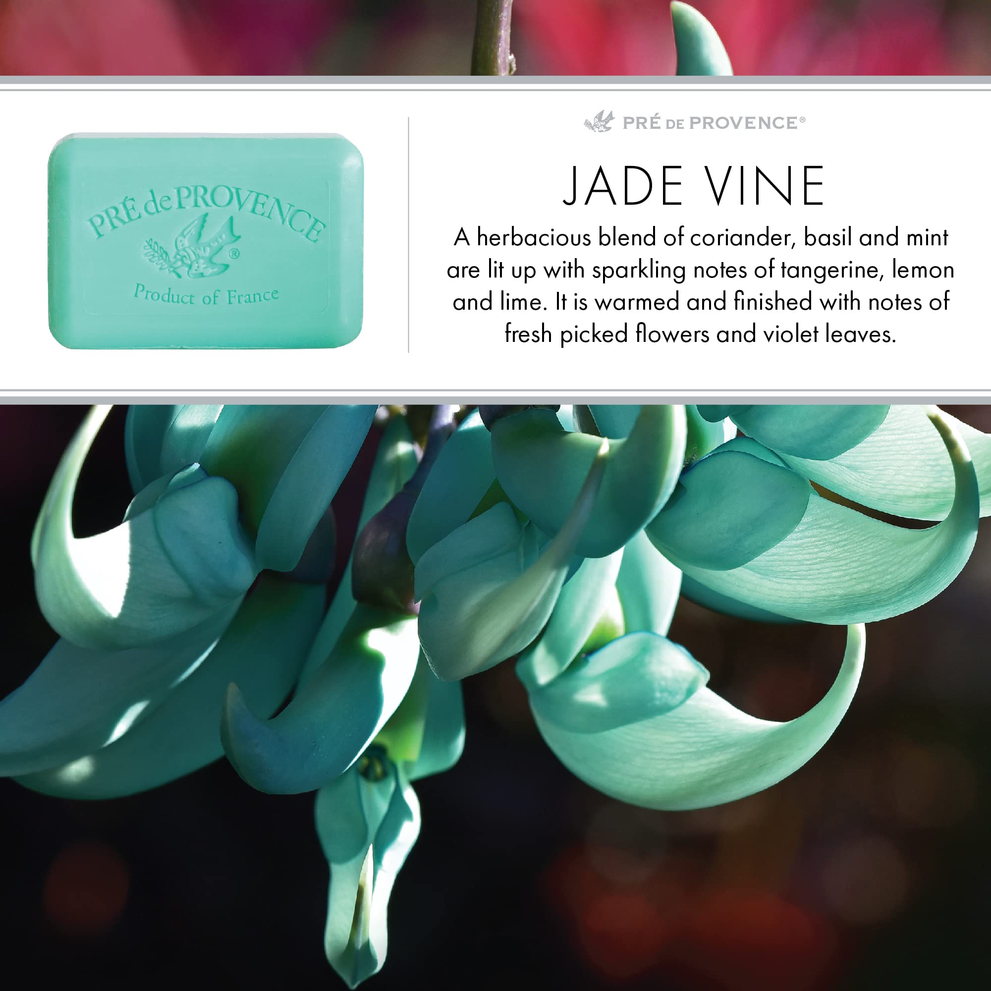 Pre de Provence Jade Vine Artisanal Soap Bar — Organic Shea Butter, Quad Milled, 8.8 oz