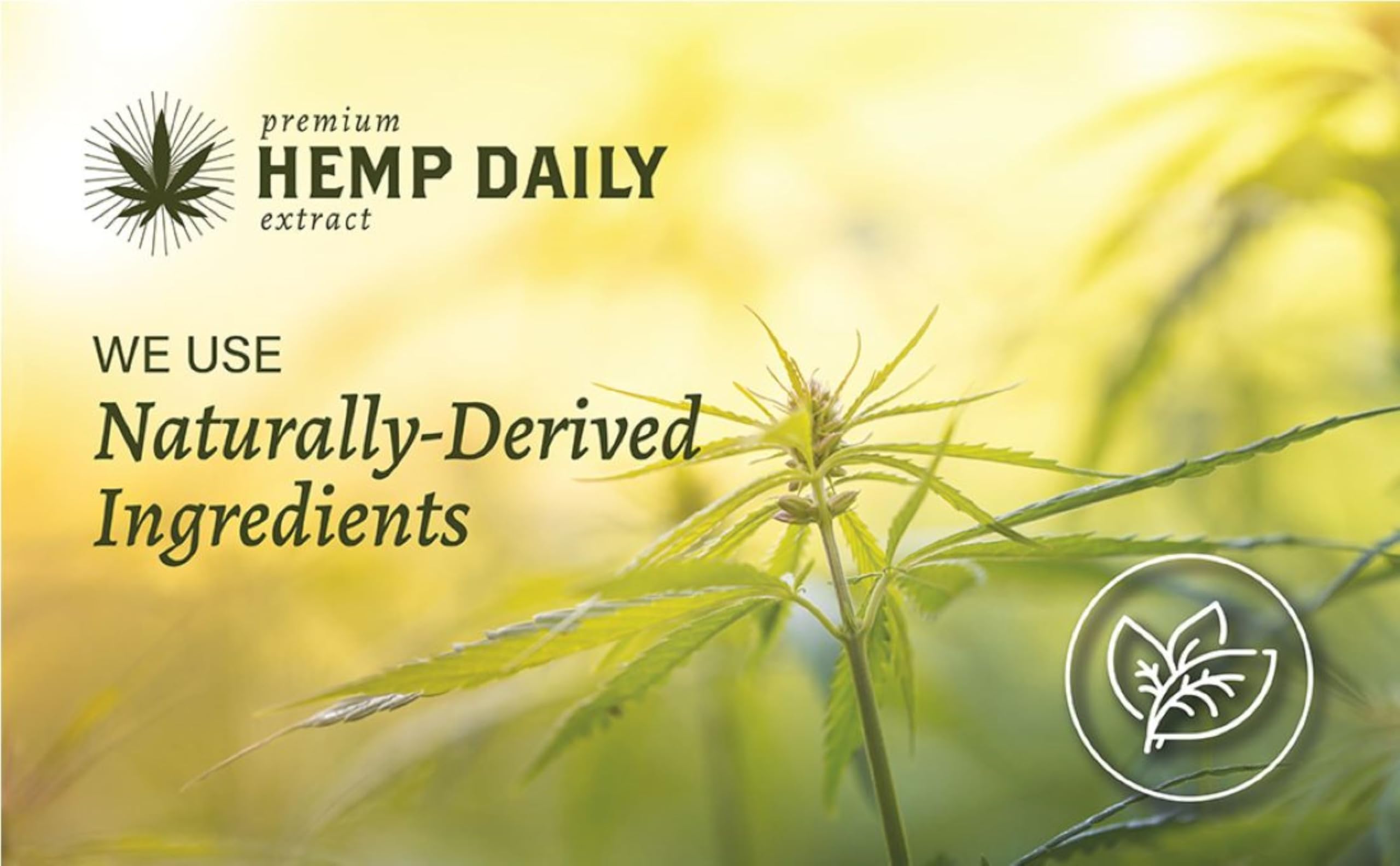 Premium Hemp Daily Intensive Cream – Lavender, Vegan & Organic, 5.0 oz