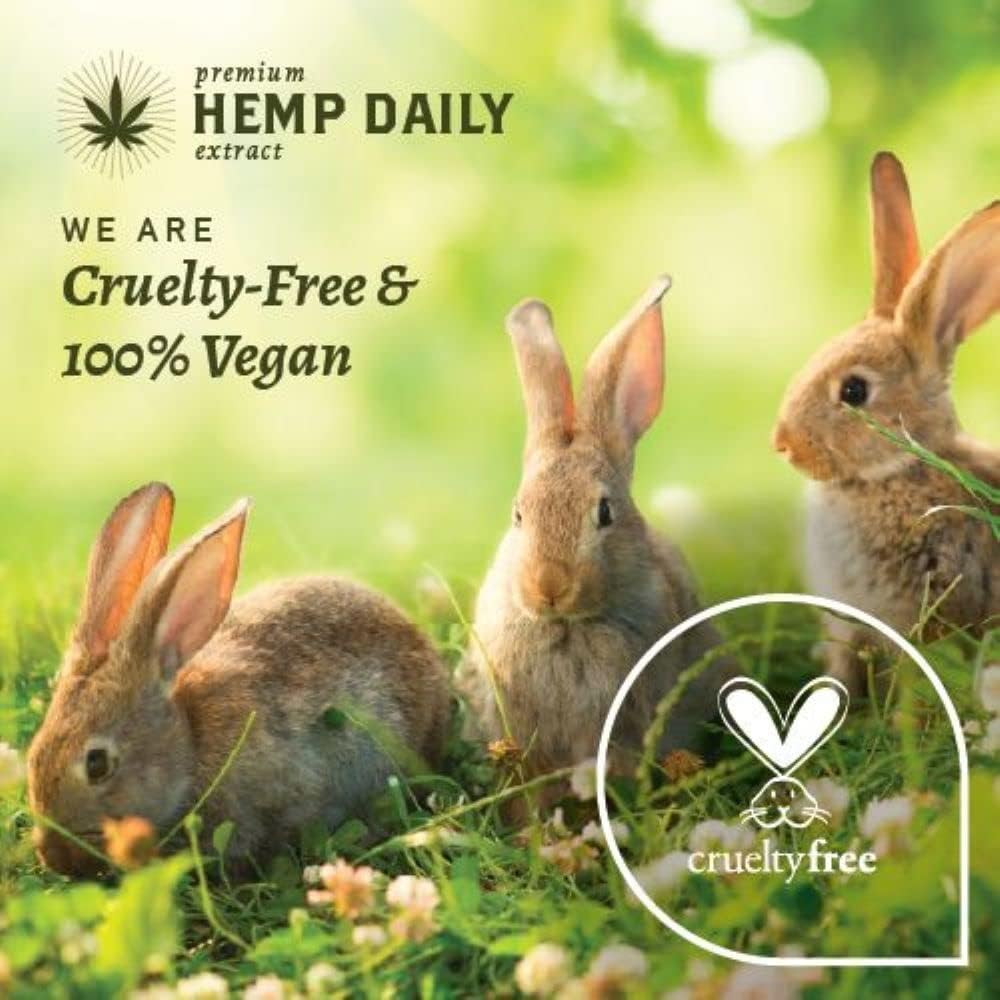 Premium Hemp Extract Daily Intensive Cream Lavender – Organic Topical Rub for Joints & Muscles | Pack of 2
