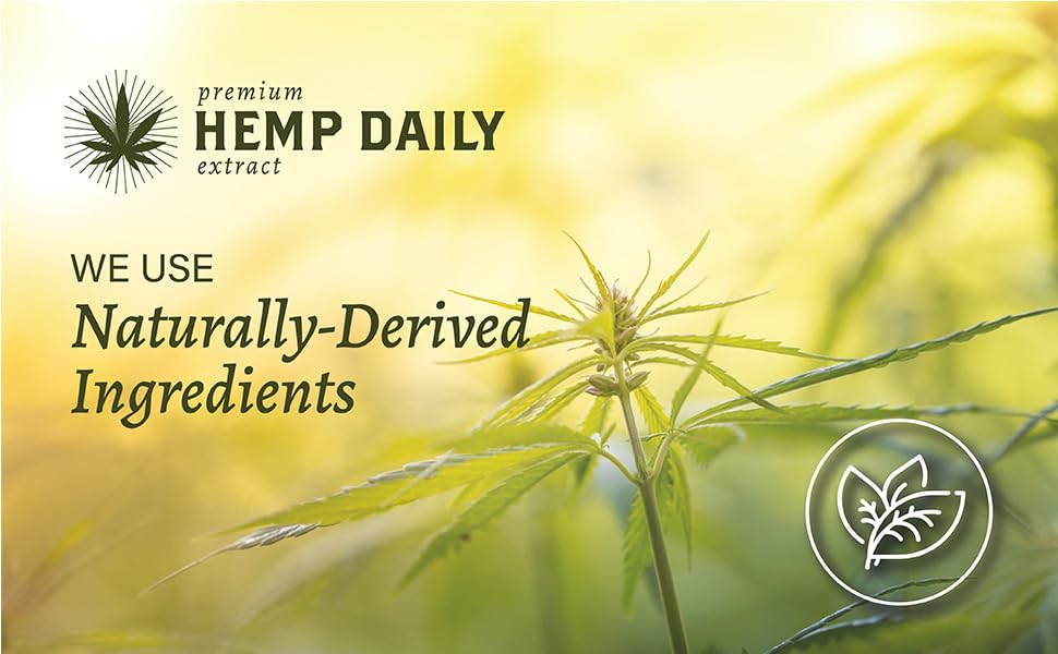 Premium Hemp Extract Daily Intensive Cream Lavender – Organic Topical Rub for Joints & Muscles | Pack of 2