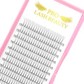 PRO LASHBEAUTY Premade Volume Eyelash Extensions 3D-0.07 | 9-20mm C/D Curl Premade Fans