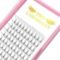PRO LASHBEAUTY Premade Fans Eyelash Extensions — 3D-D Curl, 0.07/0.10, 9–20mm