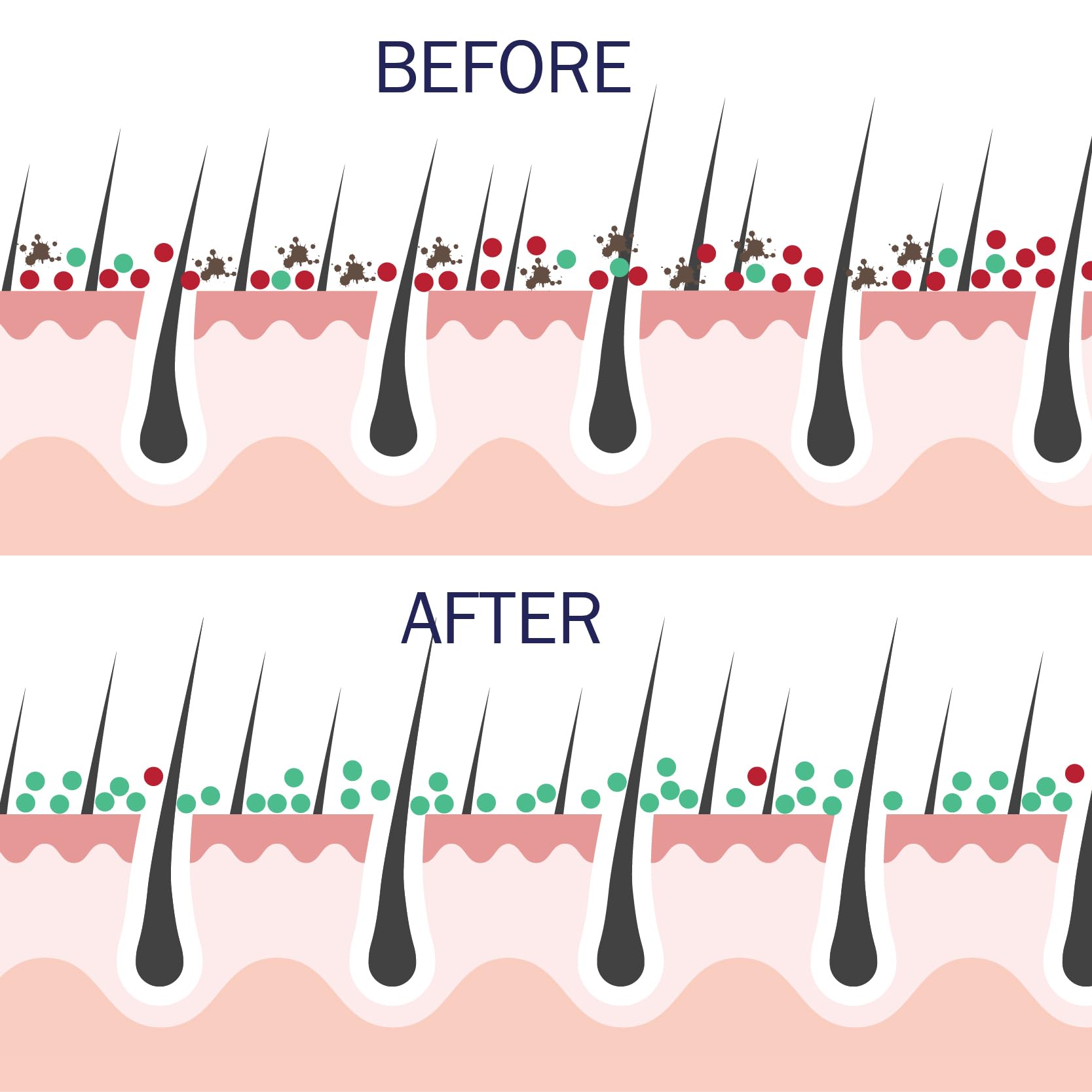 Probiotic Action Clarity in Balance: Science-Backed Bacteria for Acne, Rosacea & Eczema Risk