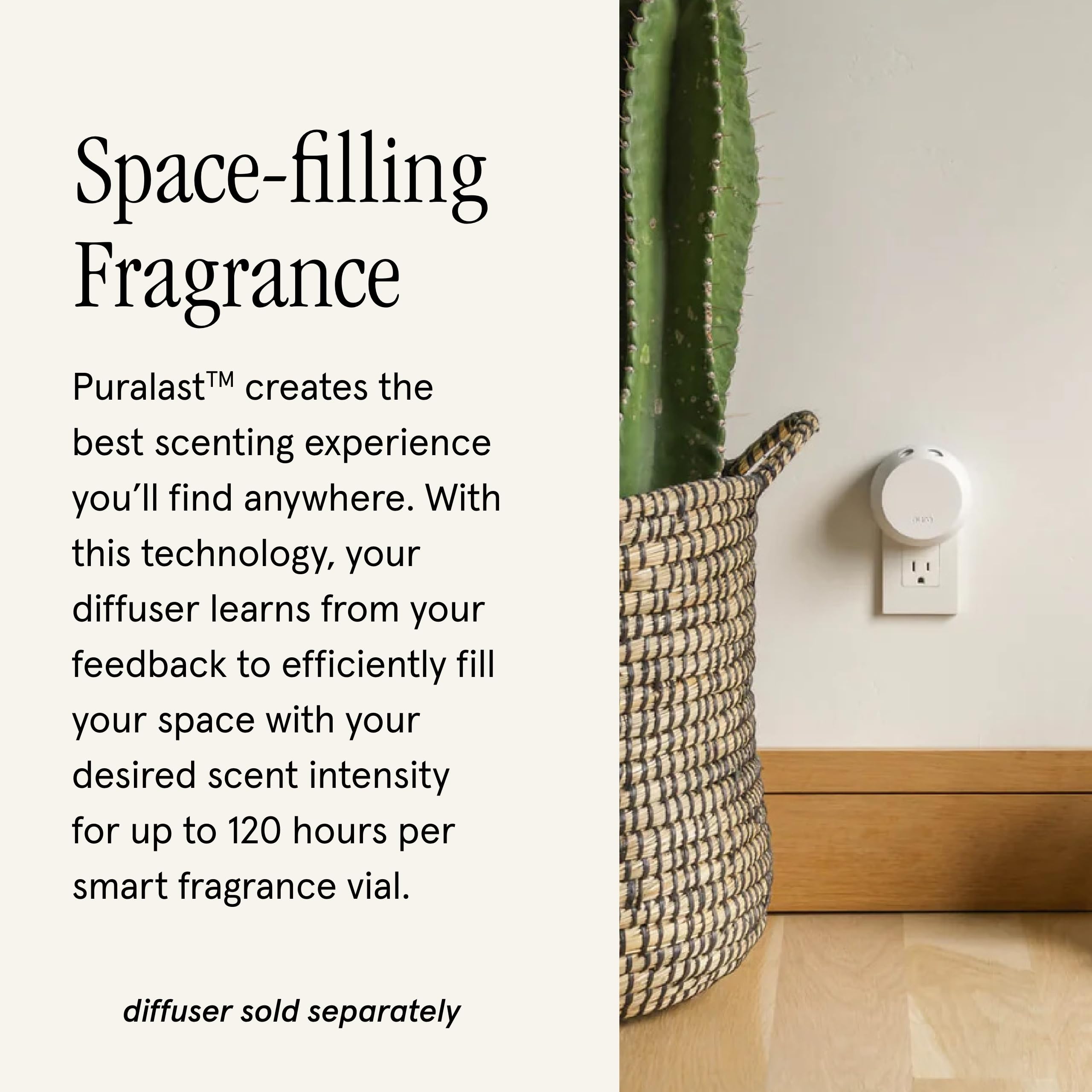 Pura and Soap & Paper Factory Vanilla Fleur Home Scent Refill for Smart Diffuser – 2-Pack, Up to 120 Hours