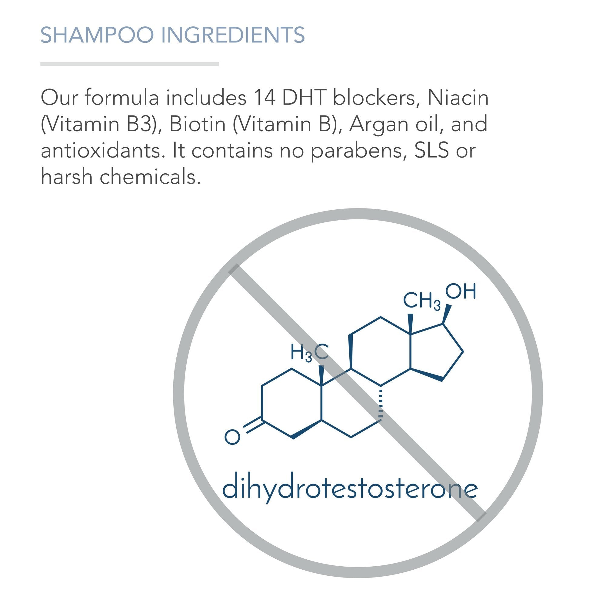 Pure Body Naturals Hair Loss Shampoo – 16oz, DHT-Blocker for Thinning Hair (Pack of 2)