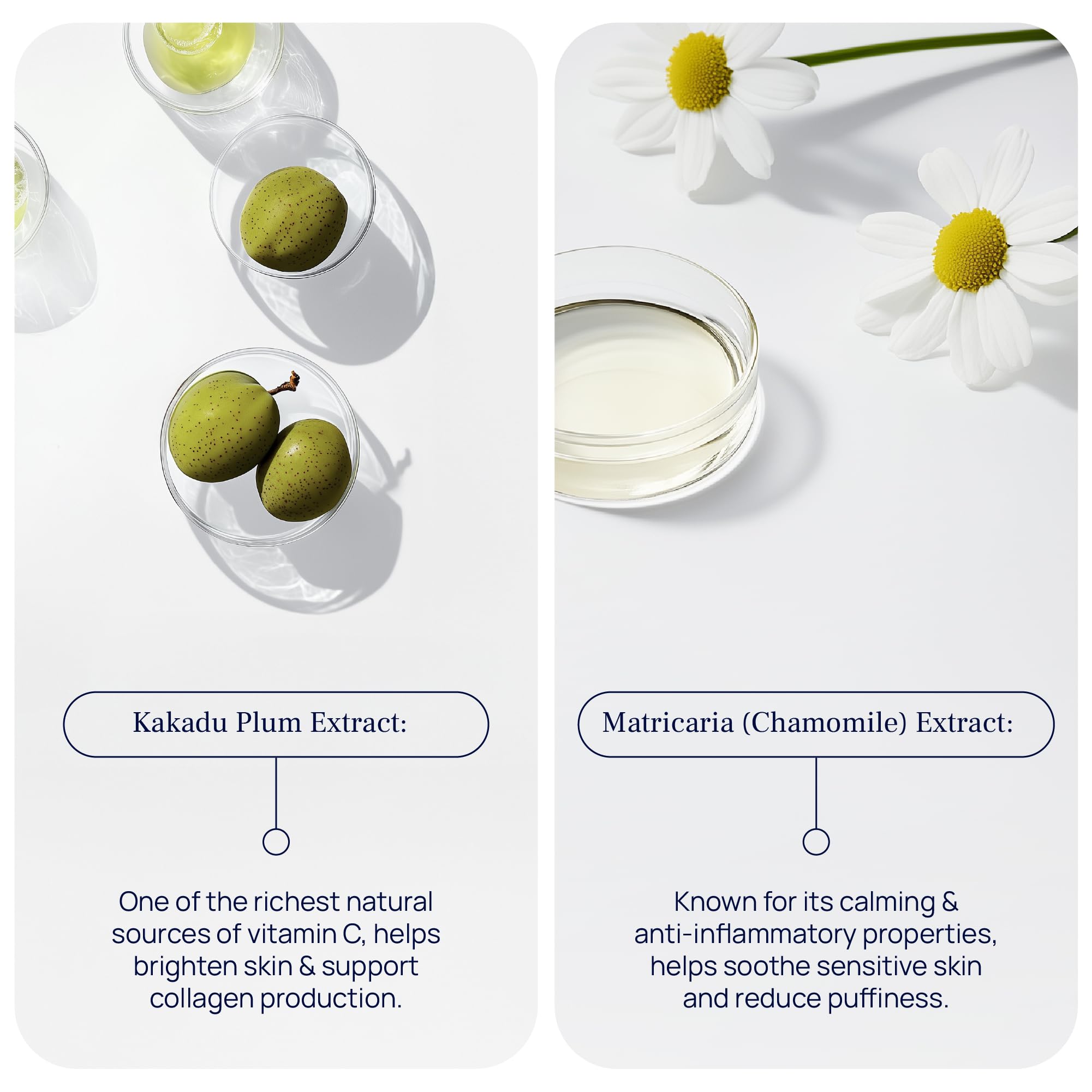 PUREANCE Lift and Glow Organic Eye Cream - Dark Circles, Puffiness and Fine Lines - 1 oz