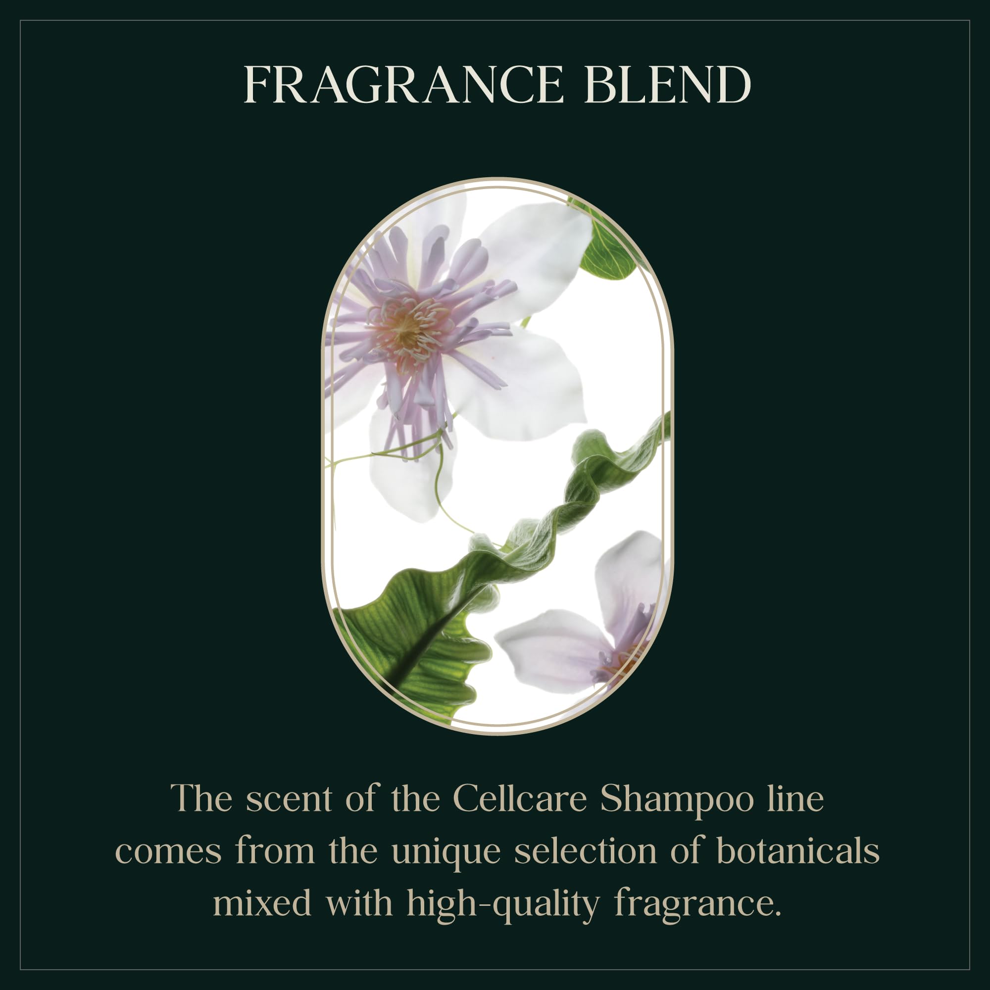 Purebble Deep Cleansing Botanic Cellcare Shampoo – Sulfate-Free, Color-Safe, pH Balanced (500ml)