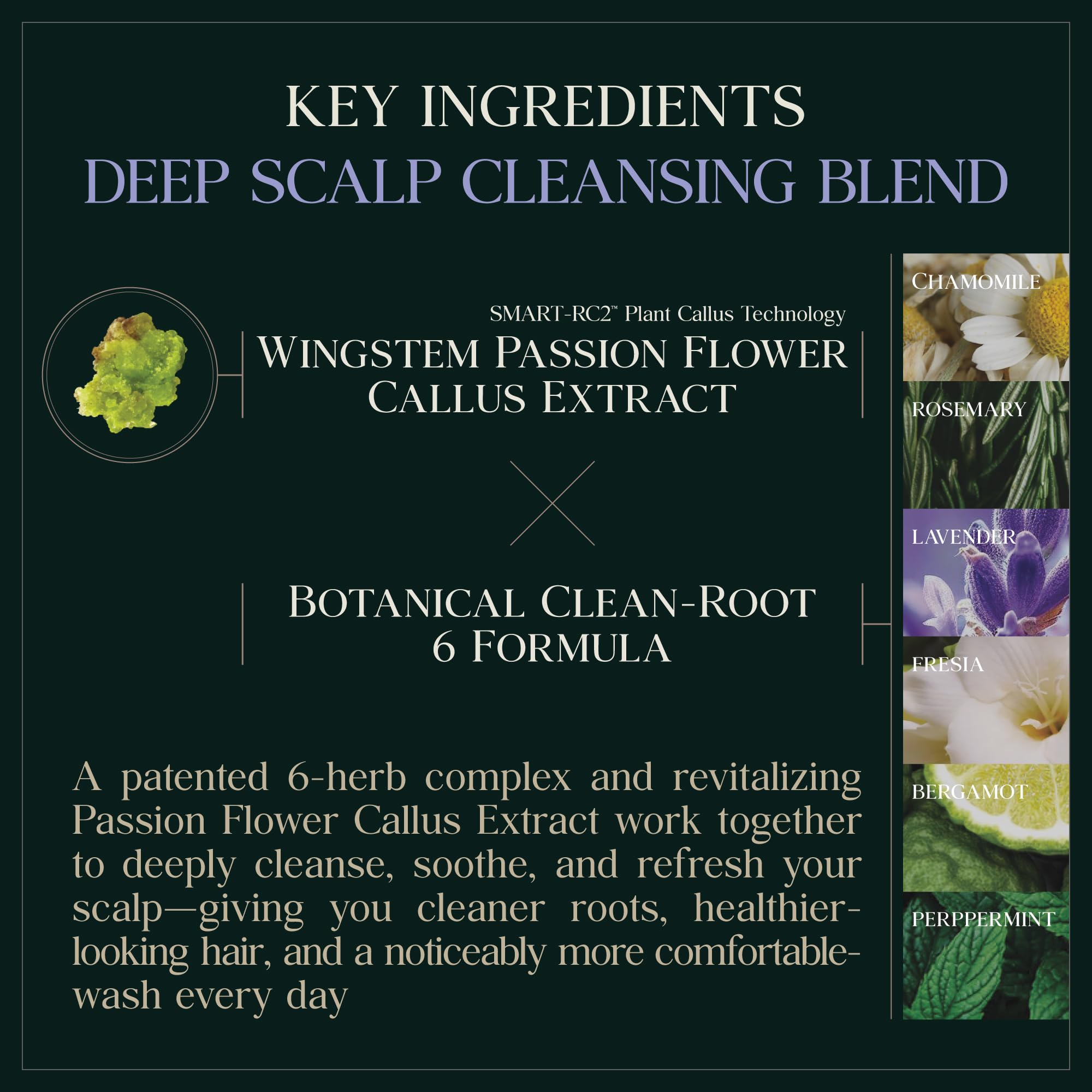 Purebble Deep Cleansing Botanic Cellcare Shampoo – Sulfate-Free, Color-Safe, pH Balanced (500ml)