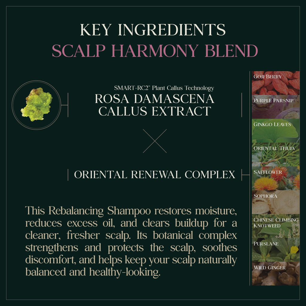 PUREBBLE Rebalancing Botanic Shampoo 500ml | Sulfate-Free, Color-Safe, pH 5.5