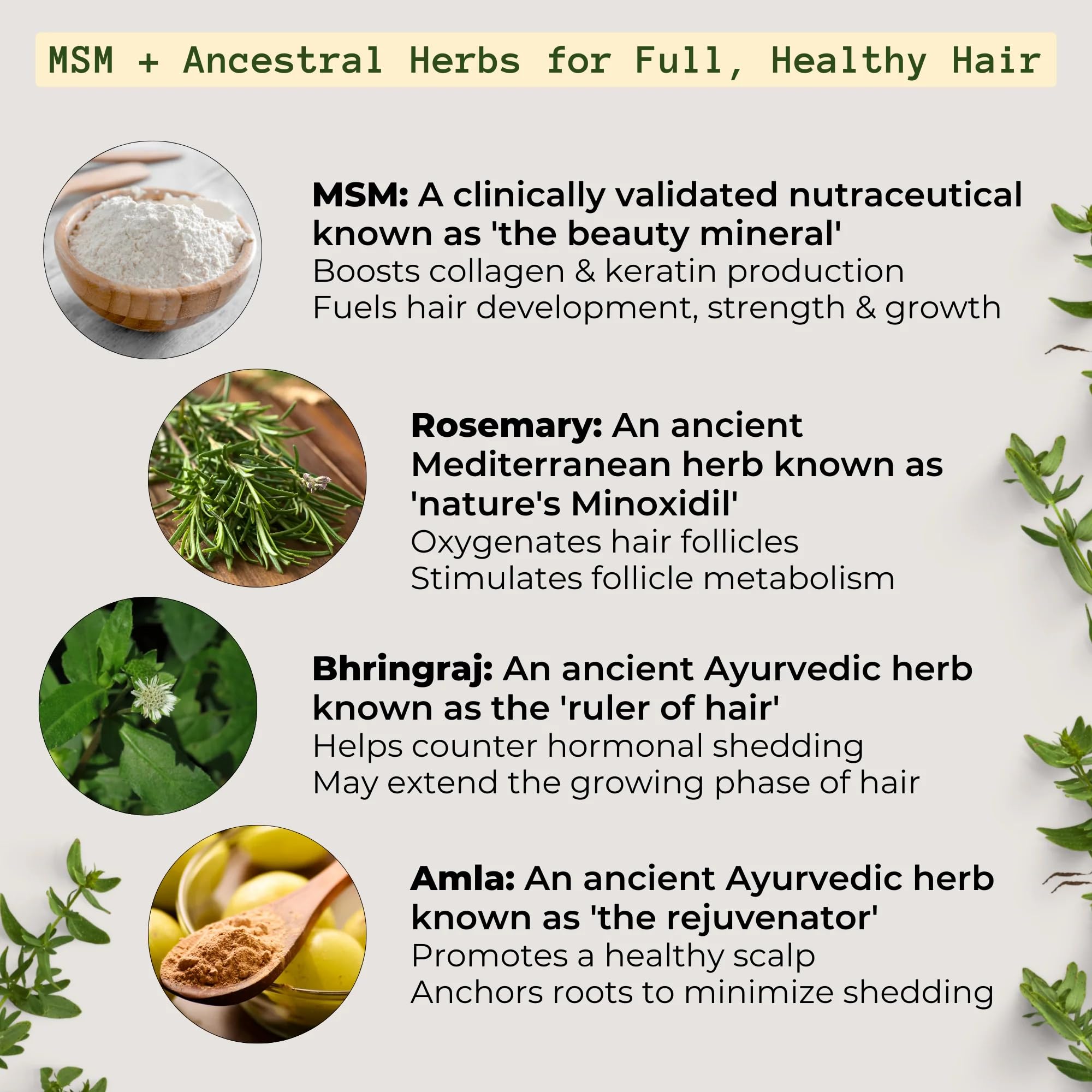 Qhemet Biologics MSM + Rosemary Scalp Nutrients Balm | Scalp Food for Healthy Hair | Vegan (4 oz)