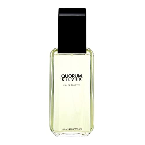 Quorum Silver by Antonio Puig for Men – Woody Spicy EDT, 3.4 oz