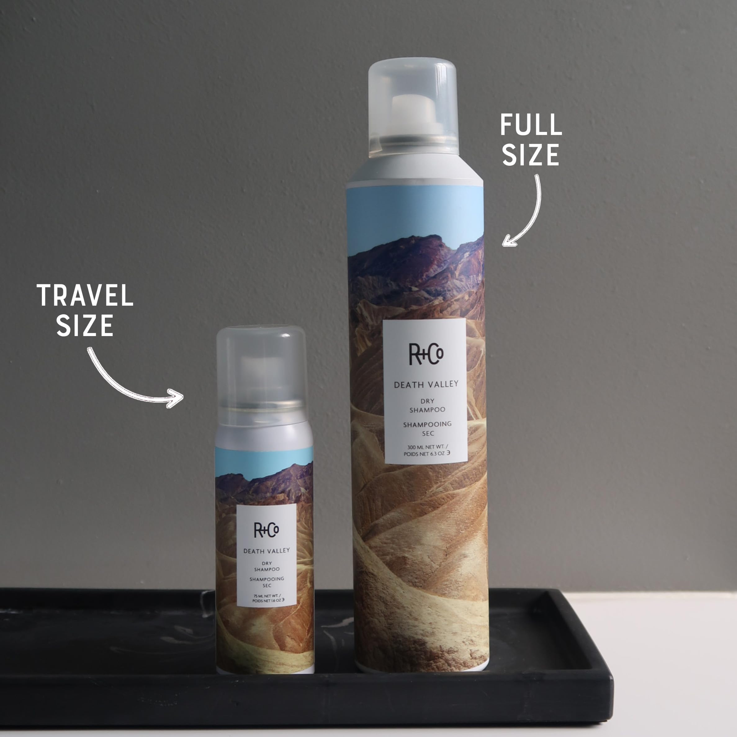 R+Co Death Valley Dry Shampoo Set — Adds Volume, Absorbs Oil & Texture | Vegan, Gluten‑Free & Paraben‑Free | 6oz + 1.6oz