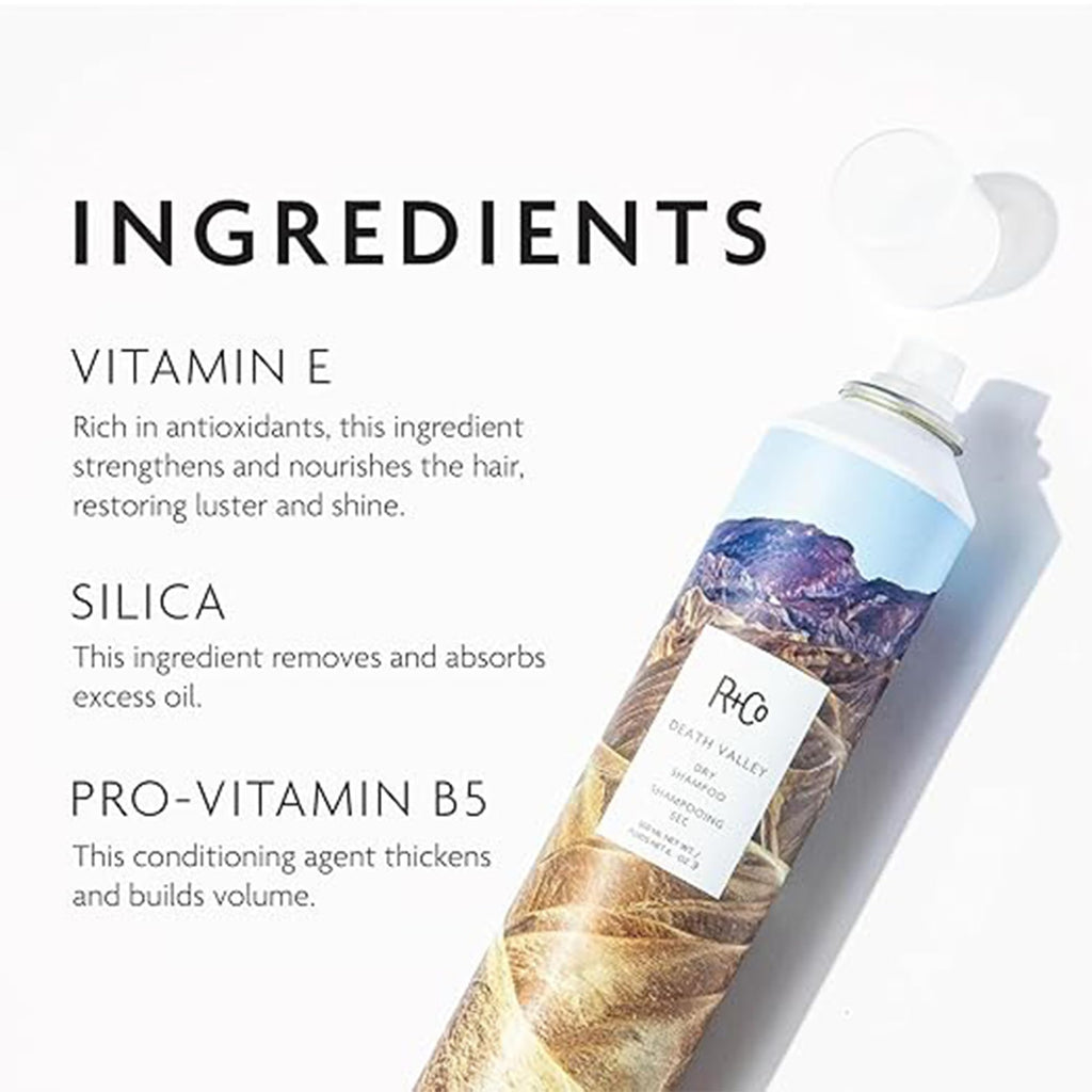 R+Co Death Valley Dry Shampoo Set — Adds Volume, Absorbs Oil & Texture | Vegan, Gluten‑Free & Paraben‑Free | 6oz + 1.6oz