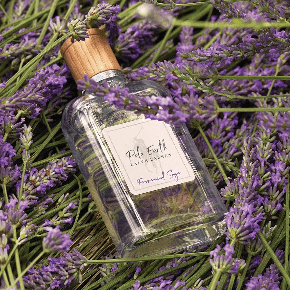 Polo Earth Provencial Sage by Ralph Lauren Fragrances – Eau de Toilette, 3.4 fl oz – Citrus & Woody