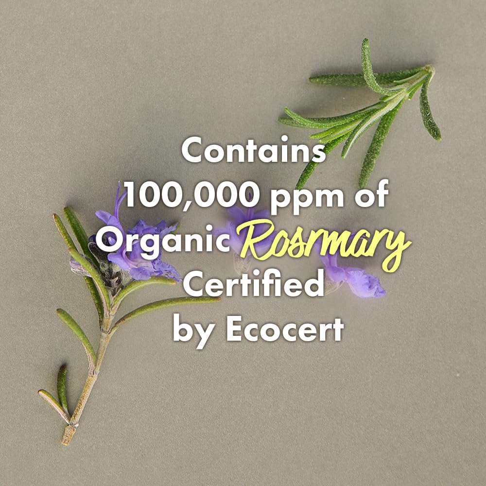 RATED GREEN Rosemary Balancing Scalp Pack | Organic Cold Brew Charcoal | 2-in-1 Detoxifying Hair Mask