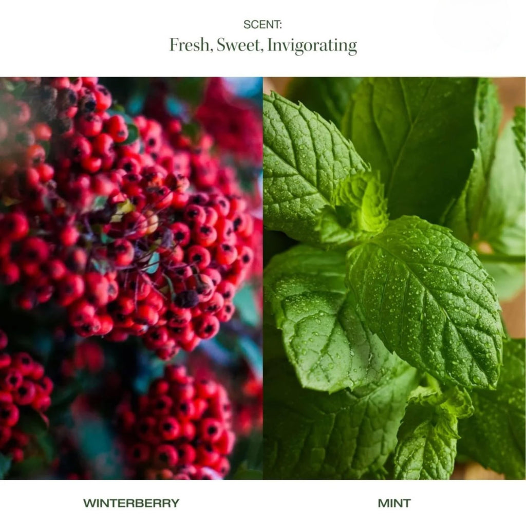 Raw Sugar Body Bliss Gift Set — Winterberry + Mint | Body Wash, Body Butter, Lip Balm & Dry Body Brush