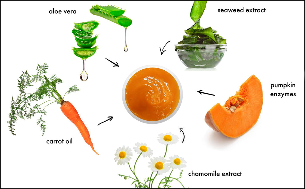 Raya Pumpkin Enzyme Facial Puree — Gentle Exfoliating Treatment for All Skin Types | Smooths Fine Lines and Minifies Pores