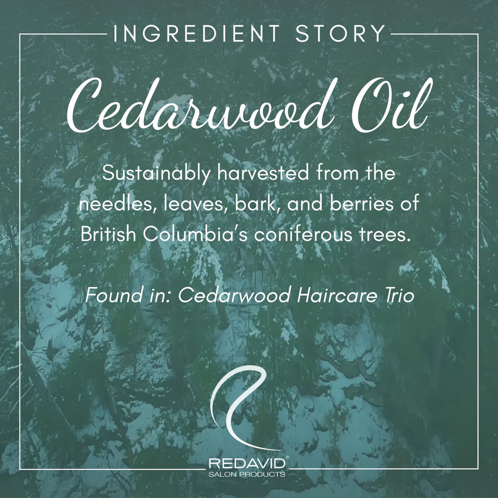 Redavid Cedarwood Weightless Shampoo – Hemp Seed Oil & Orchid Oil for Fine & Men's Hair | 1L | Paraben-Free
