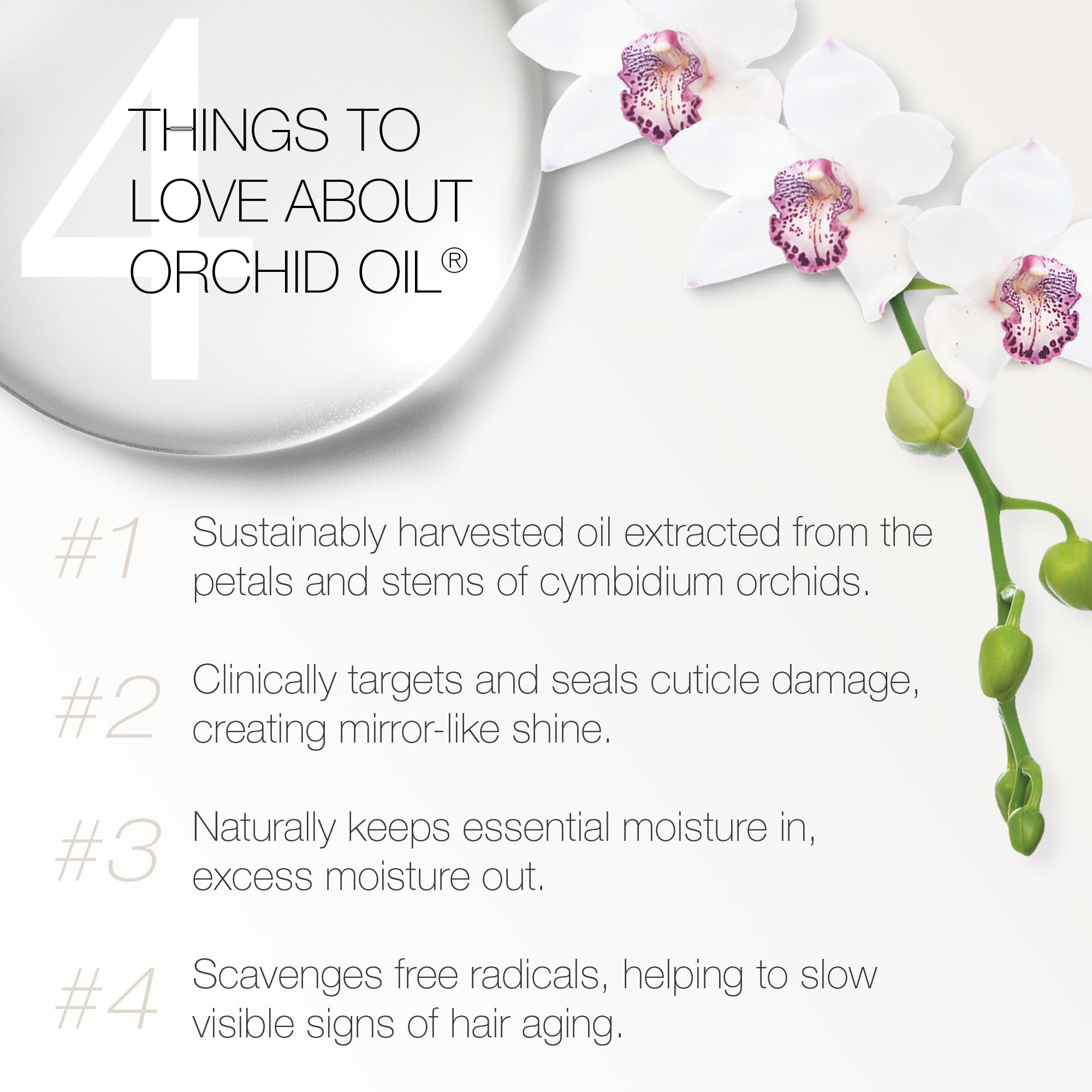 Redavid Orchid Oil Ultra Nourishing Conditioner – Coconut Oil, Yarrow & Clove Flower for Damaged & Curly Hair – Color Safe, 250ml