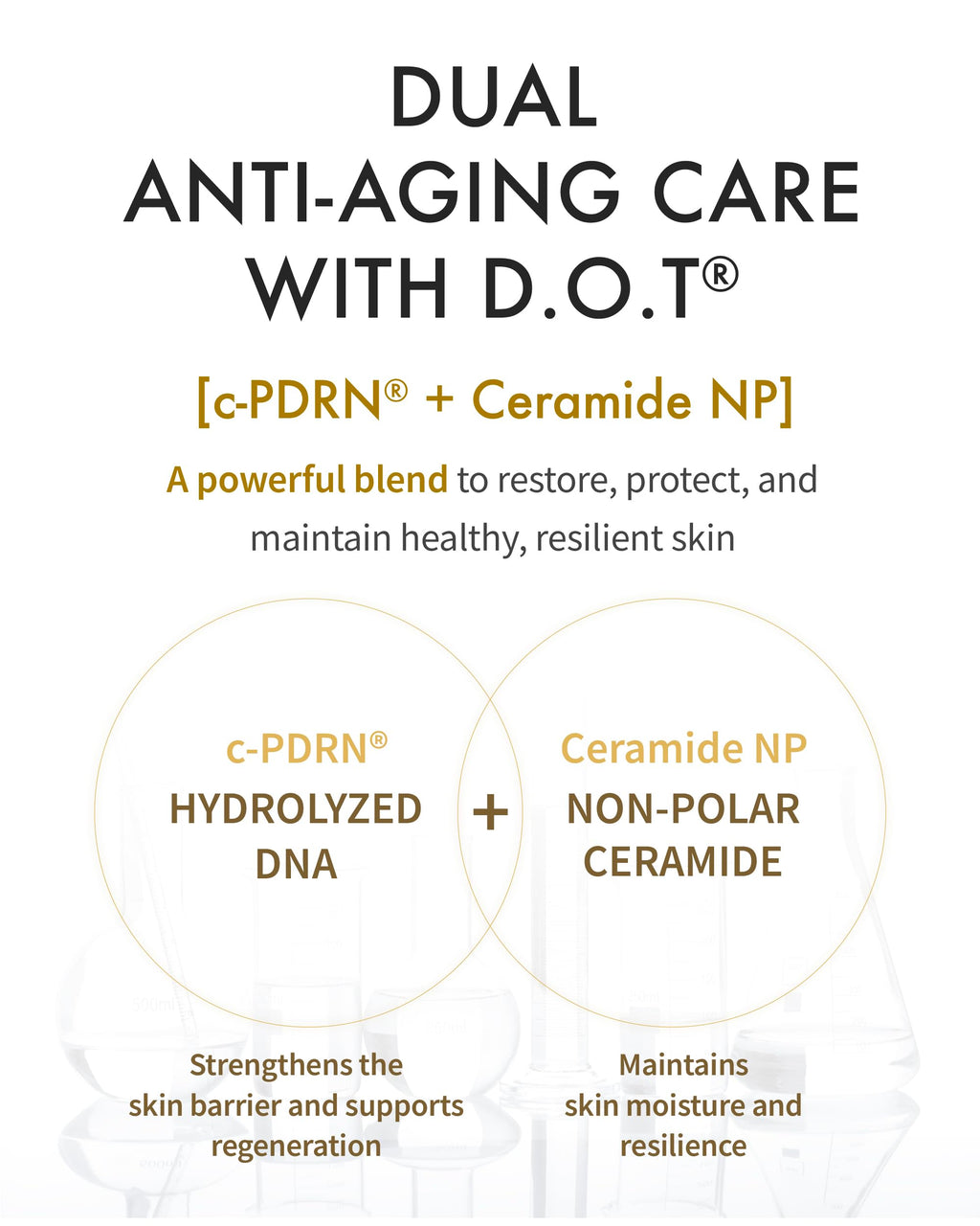 REJURAN® Dual Effect Ampoule DOT DUAL c-PDRN® [Larger Size] – Salmon DNA Serum for Deep Rejuvenation, Skin Elasticity & Texture