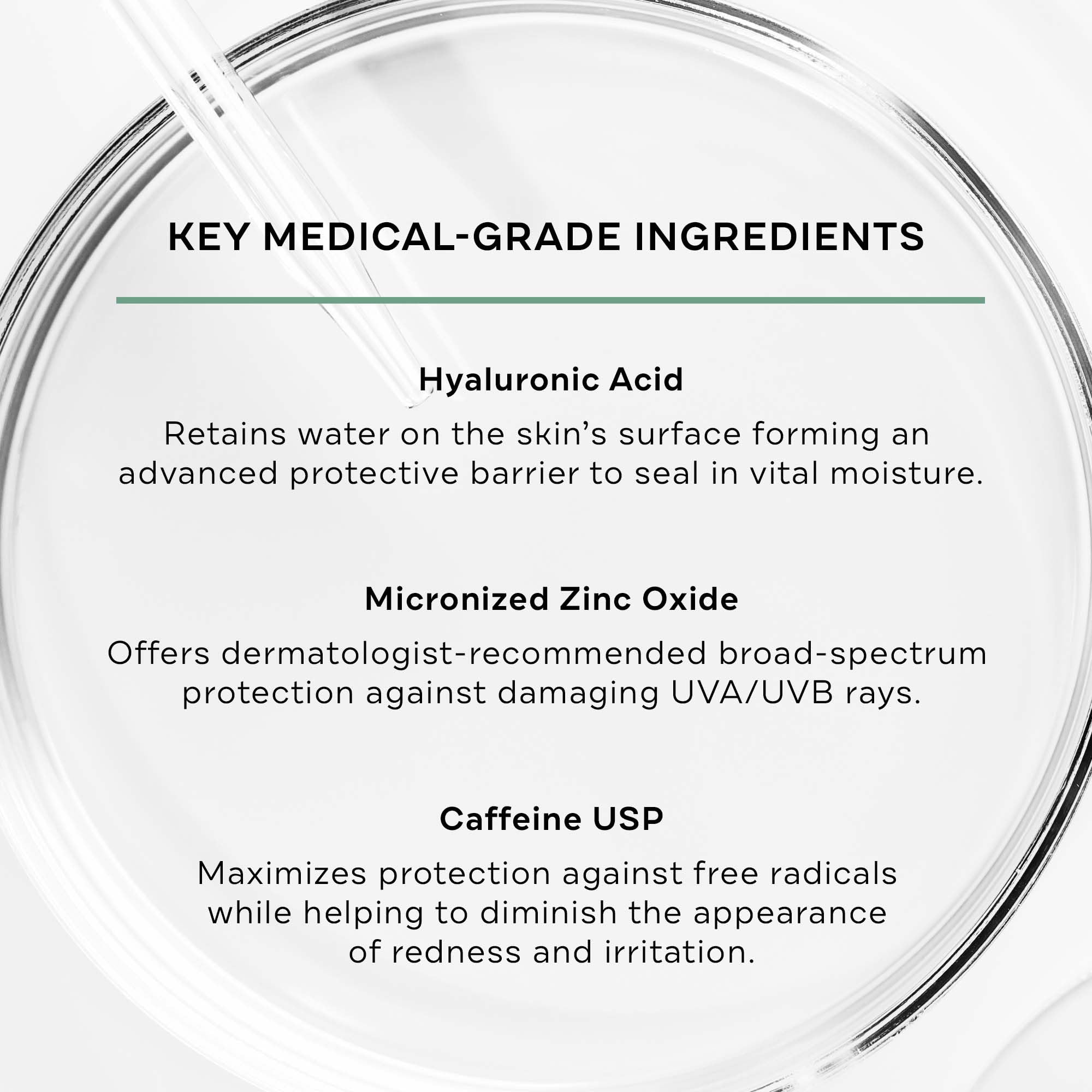 Replenix Antioxidant Hydrating Sunscreen SPF 50+ | Zinc Oxide Protection, Sensitive Skin Safe, 4 oz