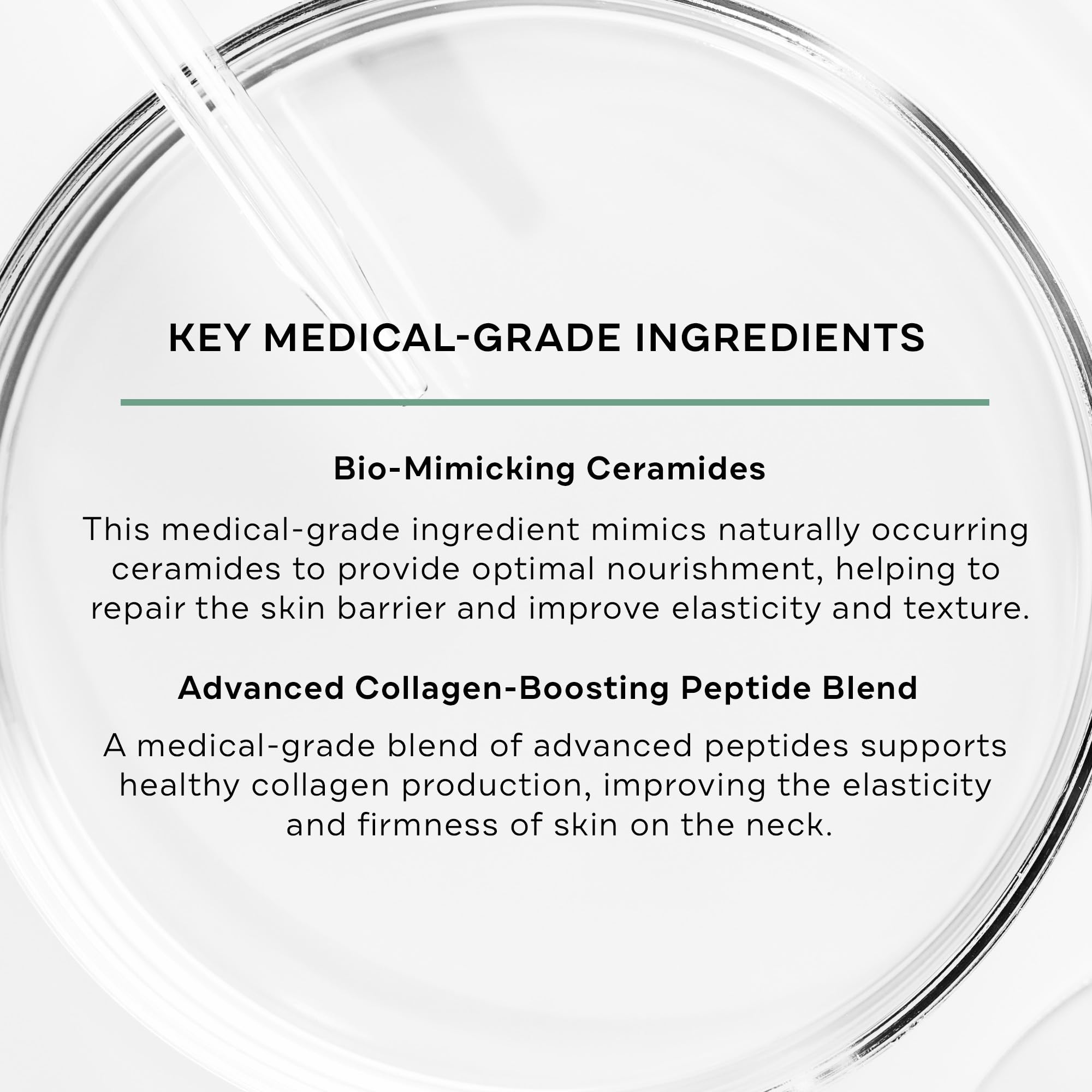 Replenix Lifting + Firming Neck Cream — Advanced Medical-Grade Neck & Décolleté Treatment (1.7 oz)