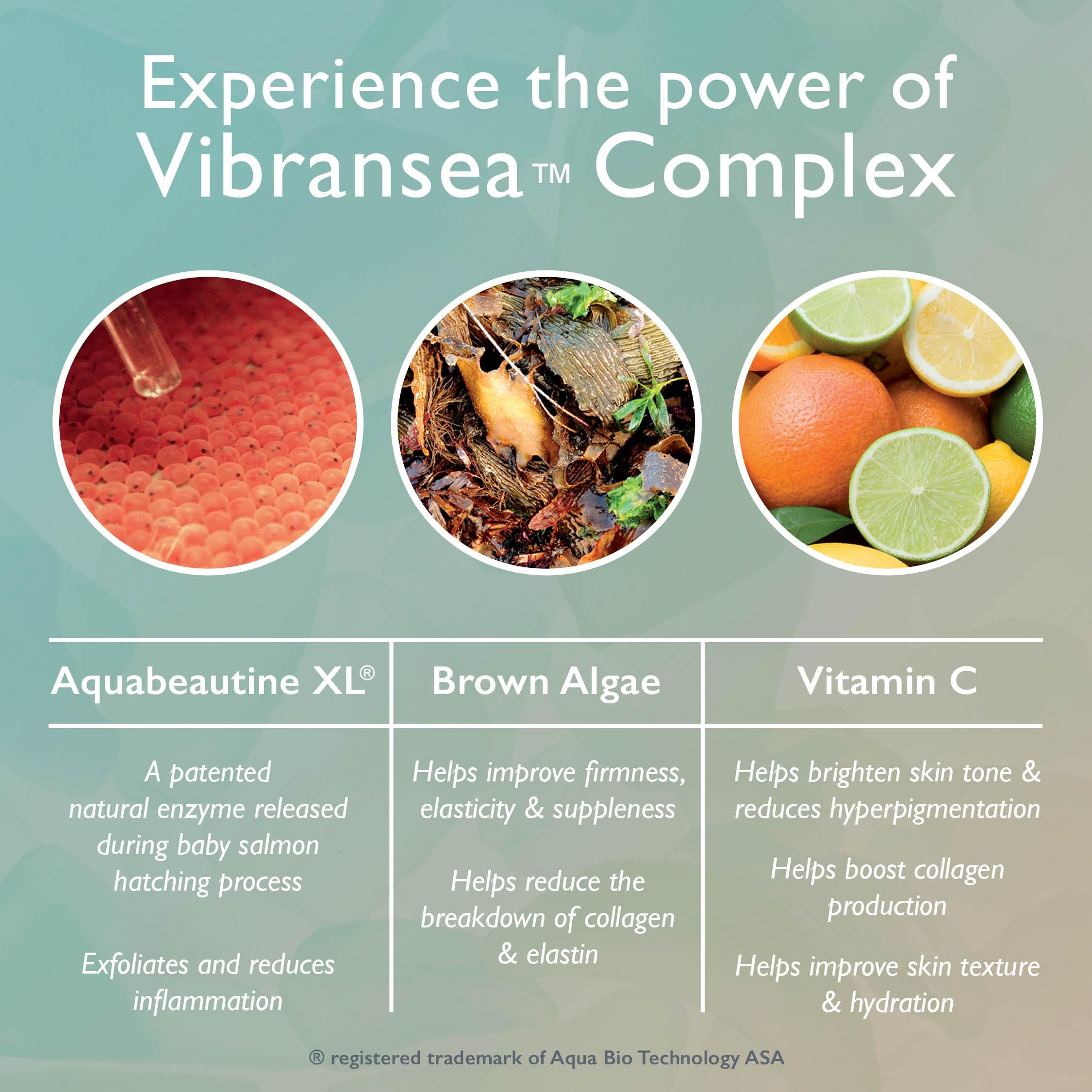 Restorsea Repairing Neck & Decolletage Treatment – Vibransea Complex | Smooth Neck & Chest