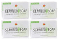 Reviva Seaweed Soap 4-Pack | Organic Seaweed Face Scrub & Exfoliating Body Bar - 4.5 oz | Made in USA