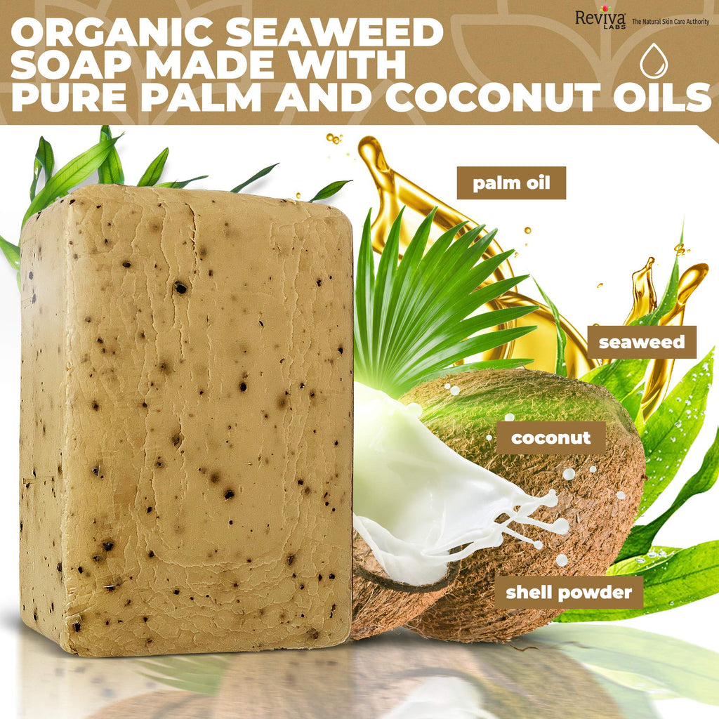 Reviva Seaweed Soap 4-Pack | Organic Seaweed Face Scrub & Exfoliating Body Bar - 4.5 oz | Made in USA