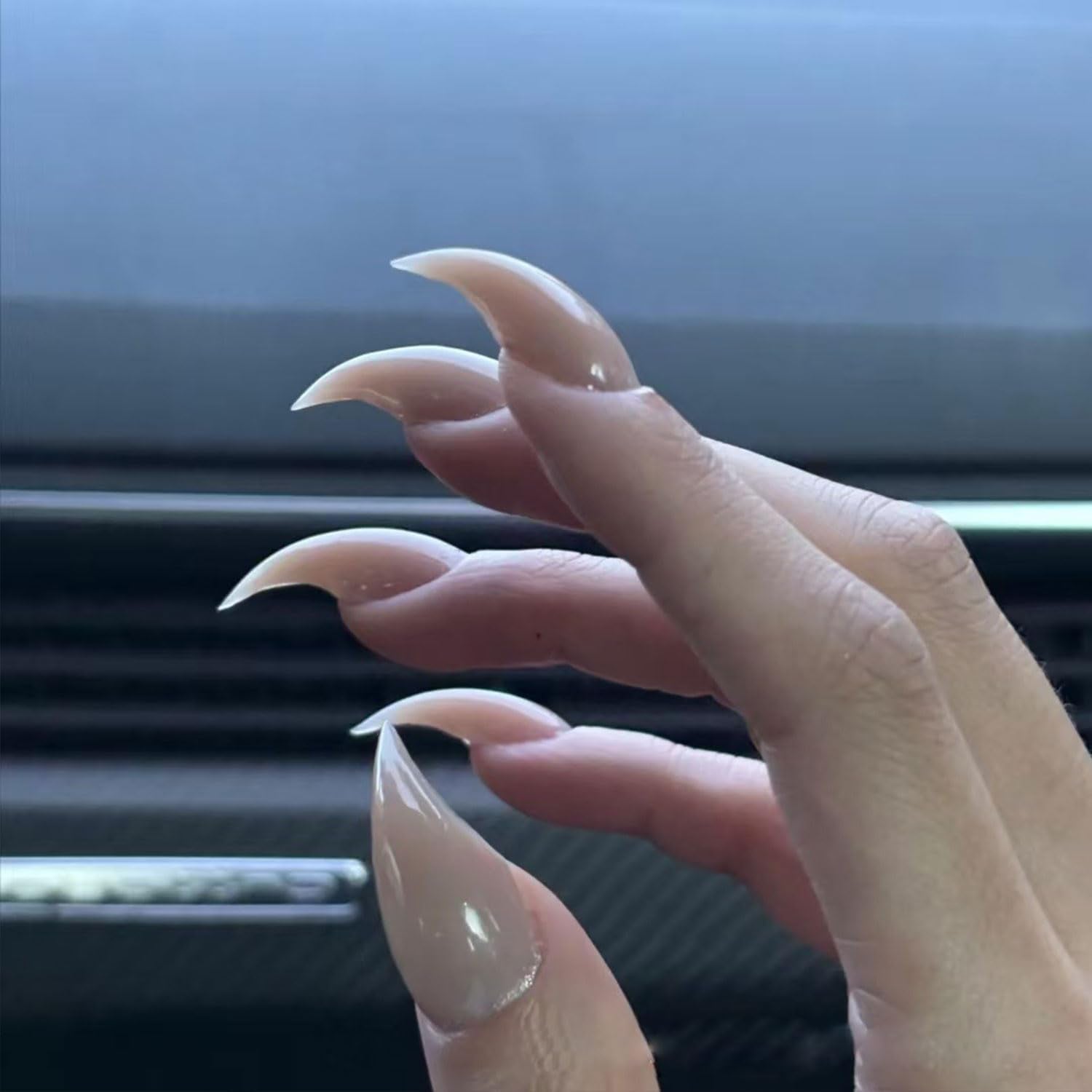RIICFDD 10-Piece Luxury Press-On Nails – Dragon Claw Nude, Reusable Acrylic Kit