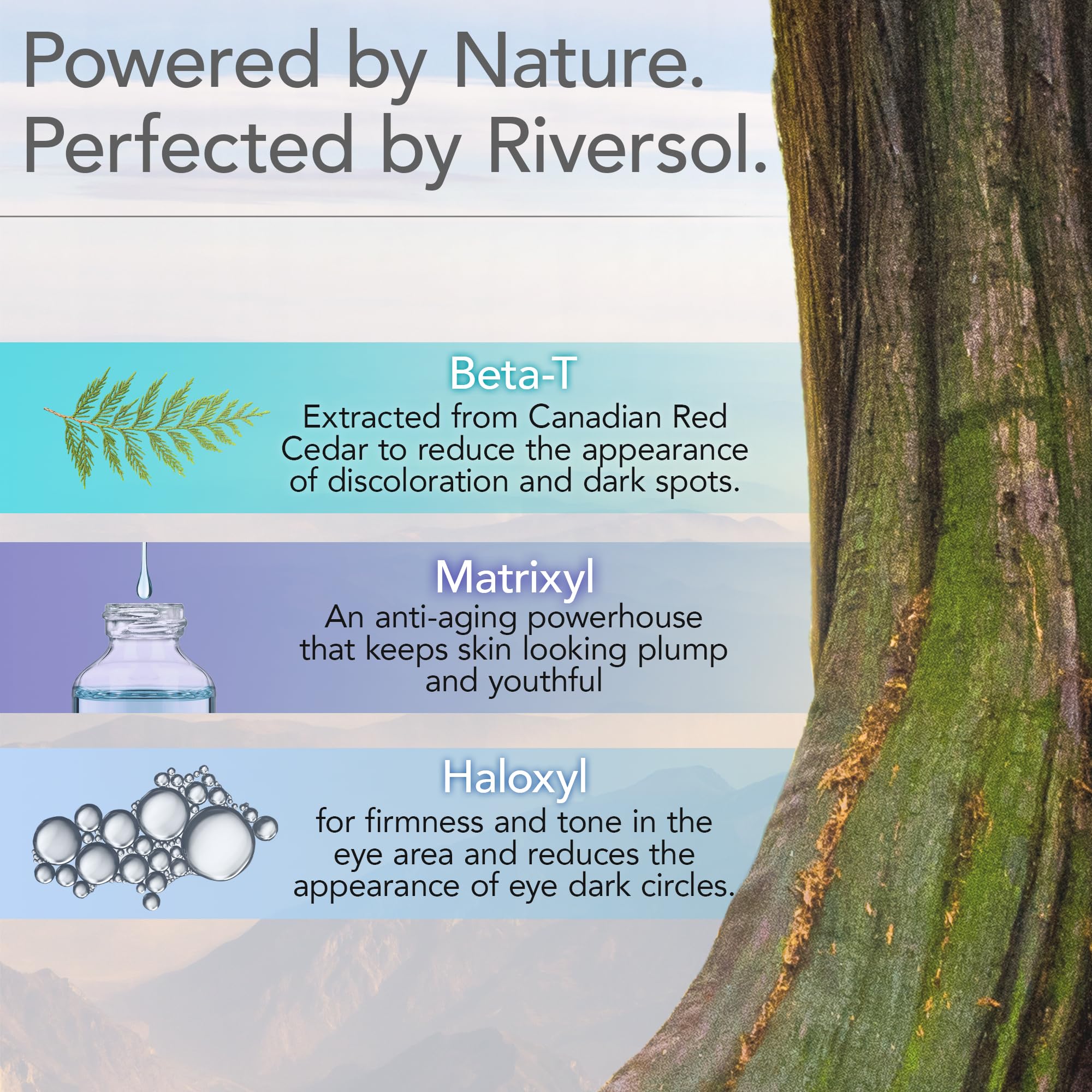Riversol Peptide Eye Cream | Brightening Eye Repair for Dark Circles & Puffiness | Sensitive Skin