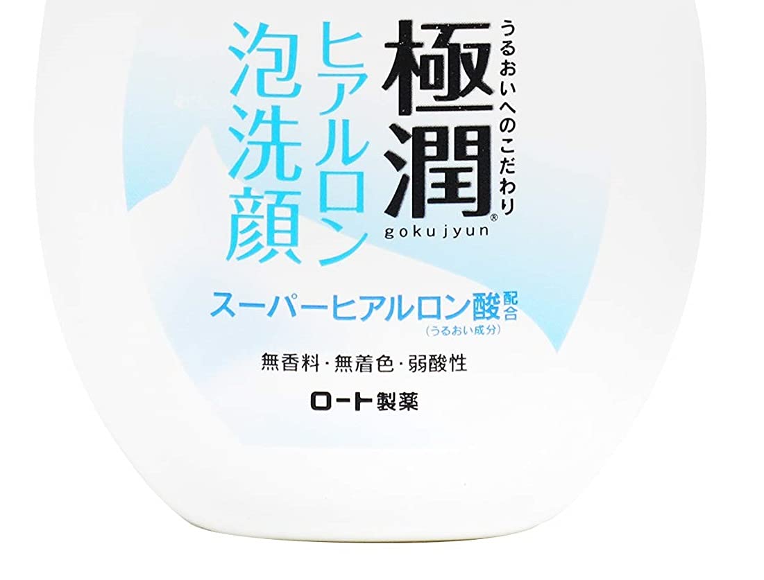 Rohto Hada Labo Gokujyn Hyaluronic Acid Cleansing Foam (160ml) – Hydrating Japanese Cleanser
