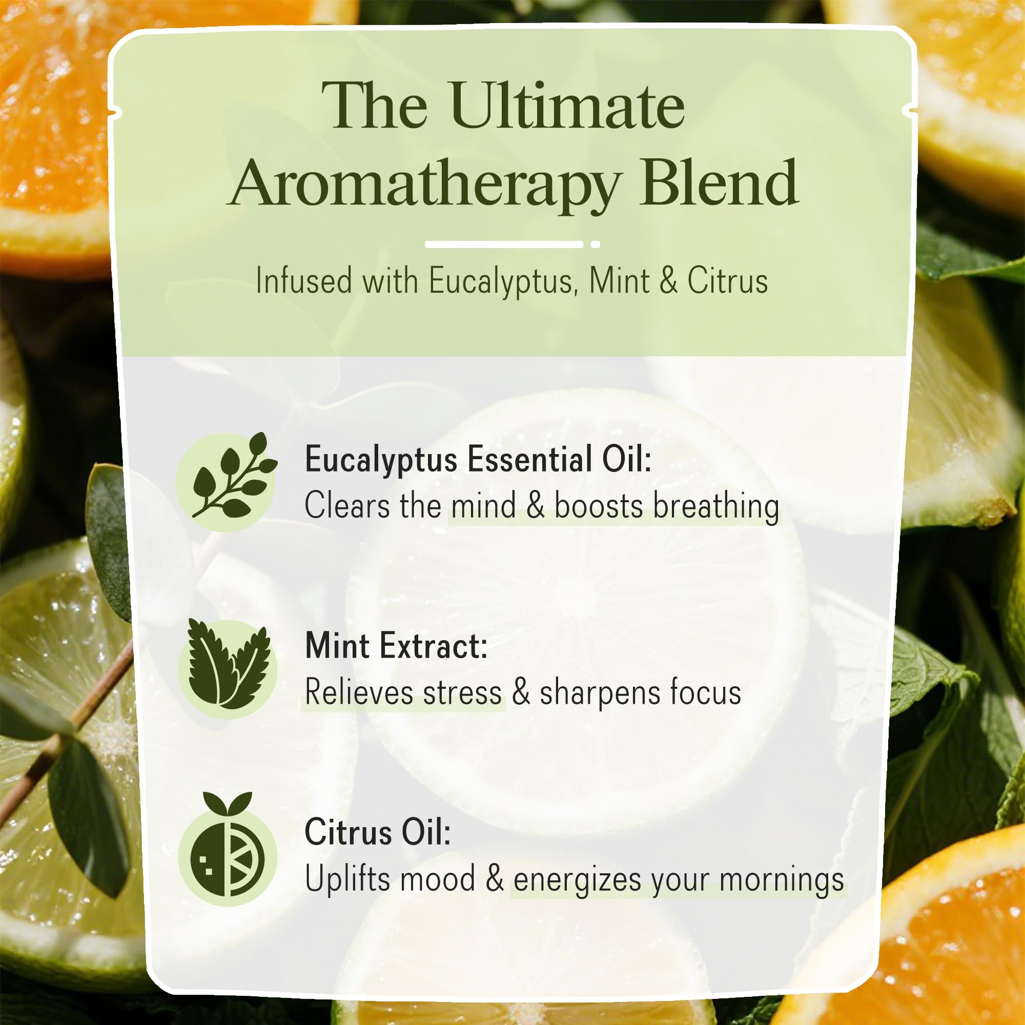 Romancy Shower Steamers 10 Pack – Menthol, Eucalyptus, Mint & Citrus Aromatherapy