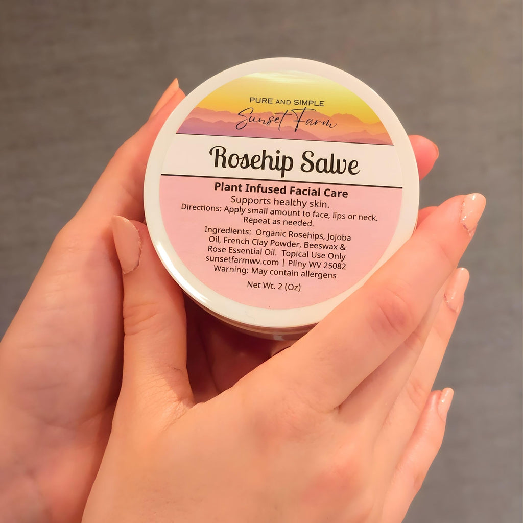 Rosehip Salve for Nourished Face & Skin | Organic, Non-GMO, Small-Batch Herbal Balm | Family Made in WV | 2 oz Jar