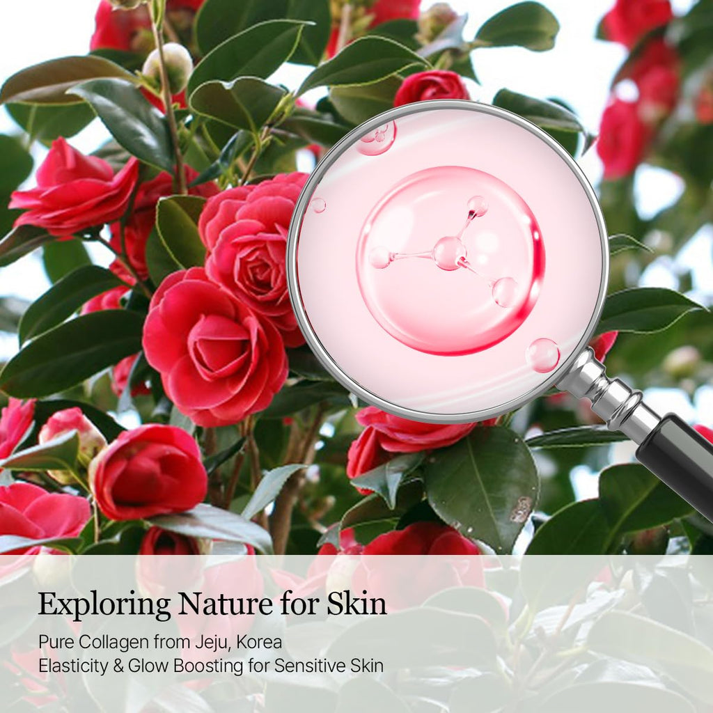 ROUND LAB Camellia Collagen PDRN Milky Toner – Hydrating Glass Skin Toner