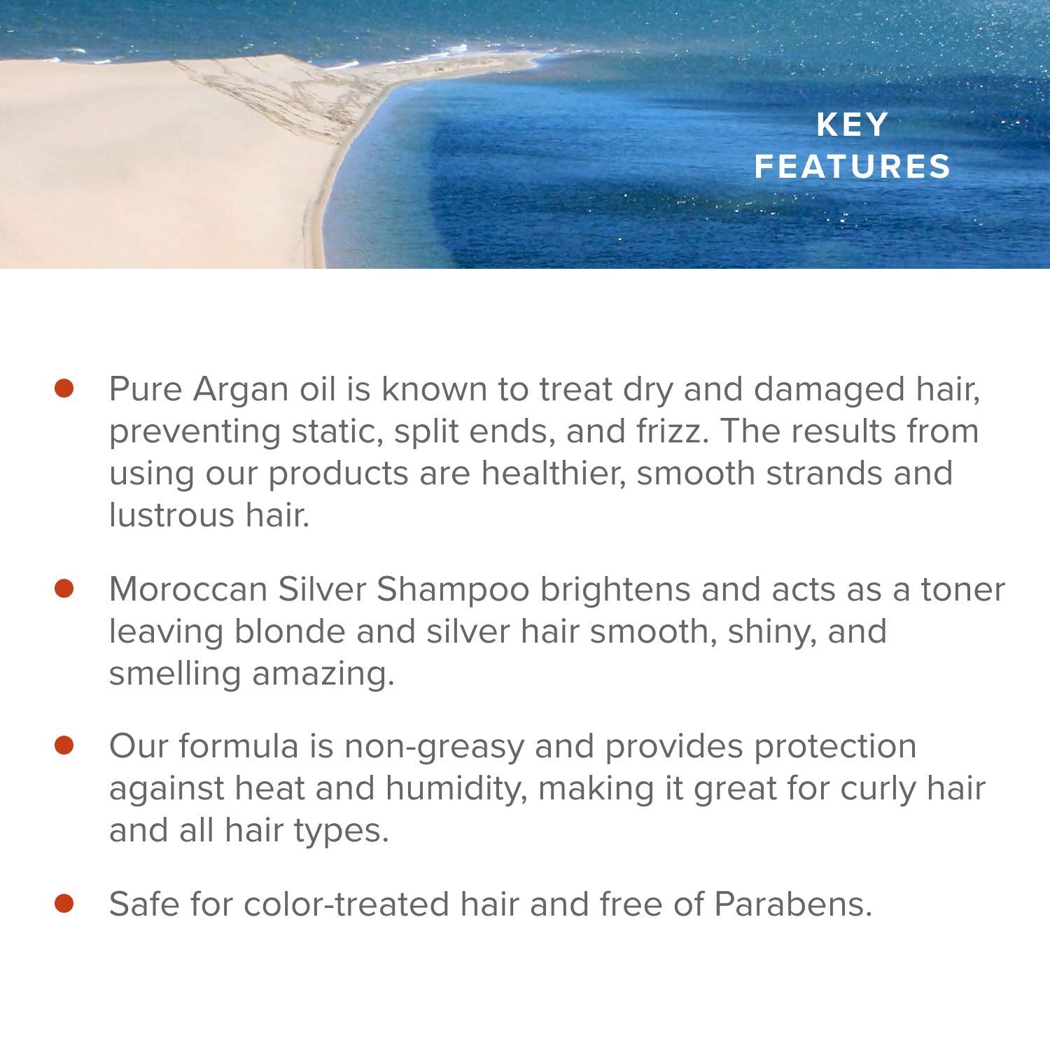 Royal Moroccan BEST SILVER SHAMPOO — Purple Shampoo for Blond & Grey Hair, Argan Oil, Paraben-Free