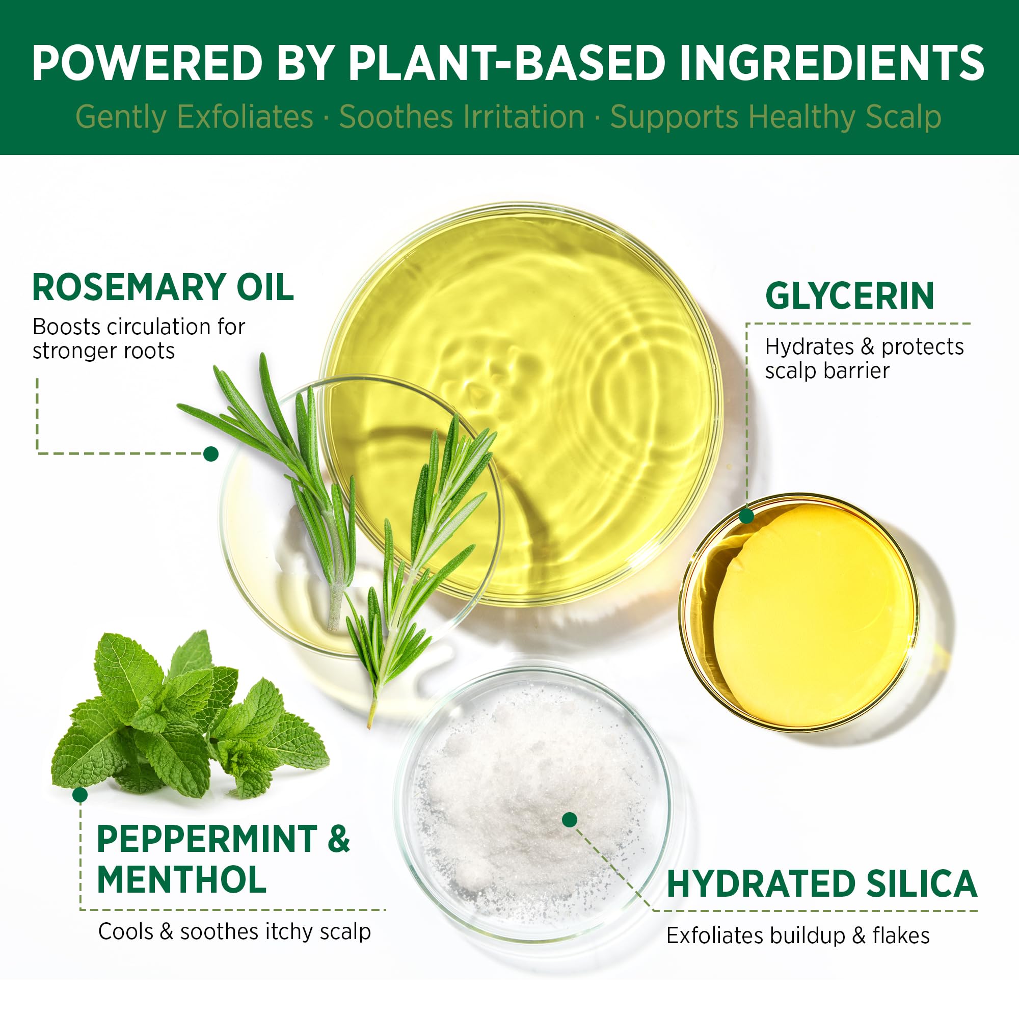 RoyceDerm Rosemary Mint Scalp Scrub – Clarifying Exfoliator for All Scalp Types