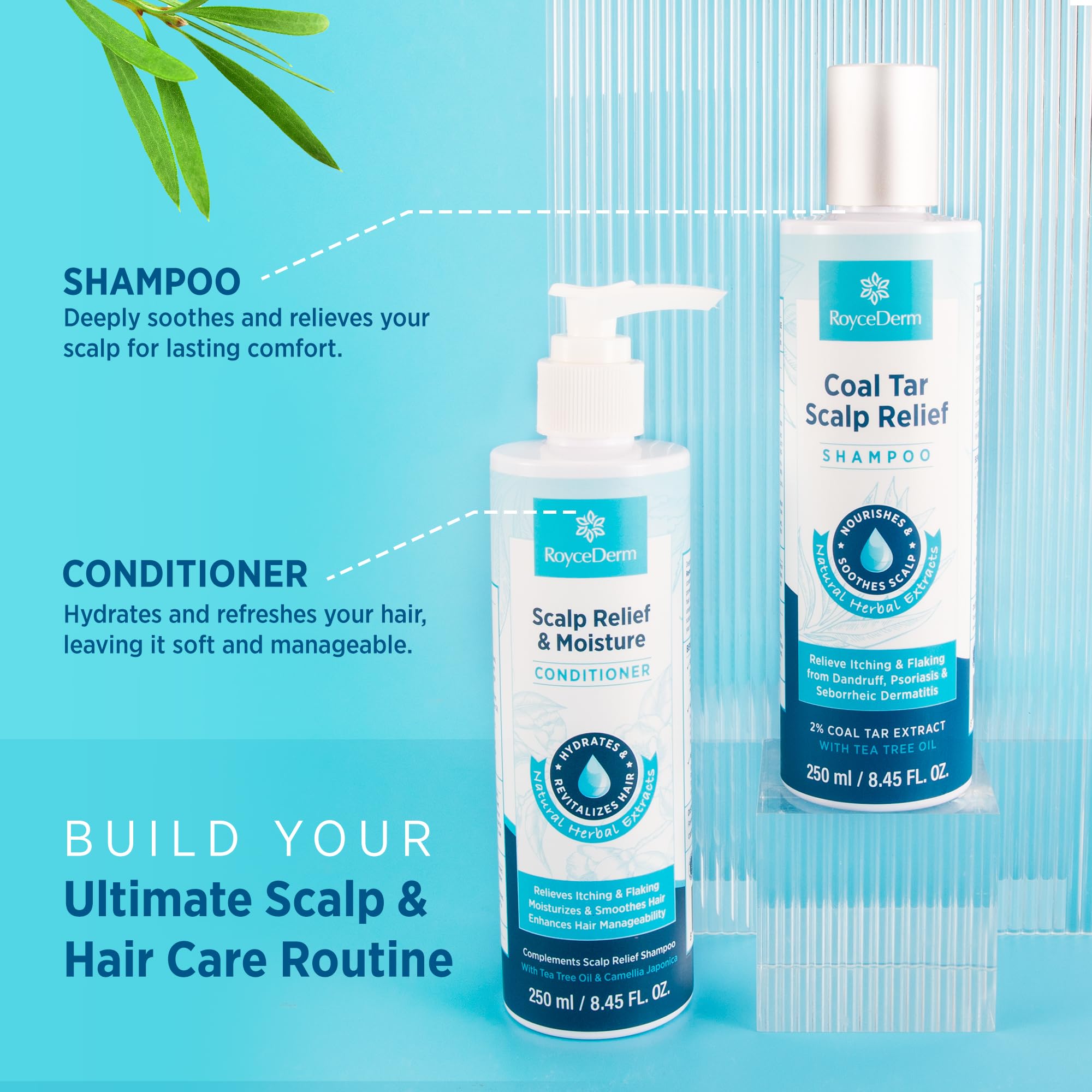 Roycederm Scalp Relief & Moisture Conditioner | Hydrating Jojoba, Aloe Vera & Camellia Oil
